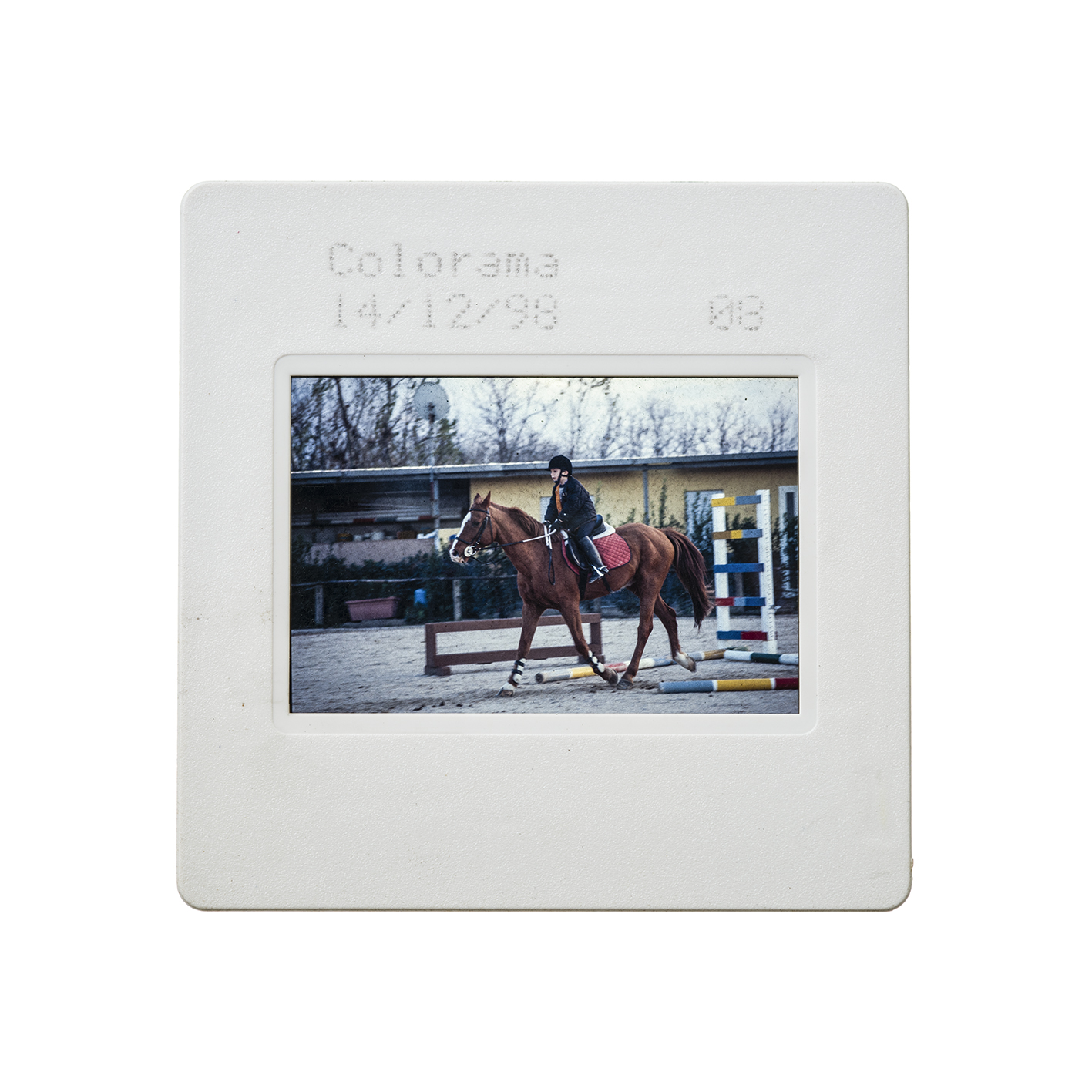 colorama (10).jpg