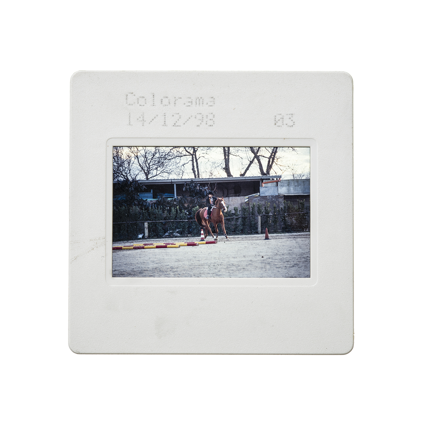 colorama (11).jpg