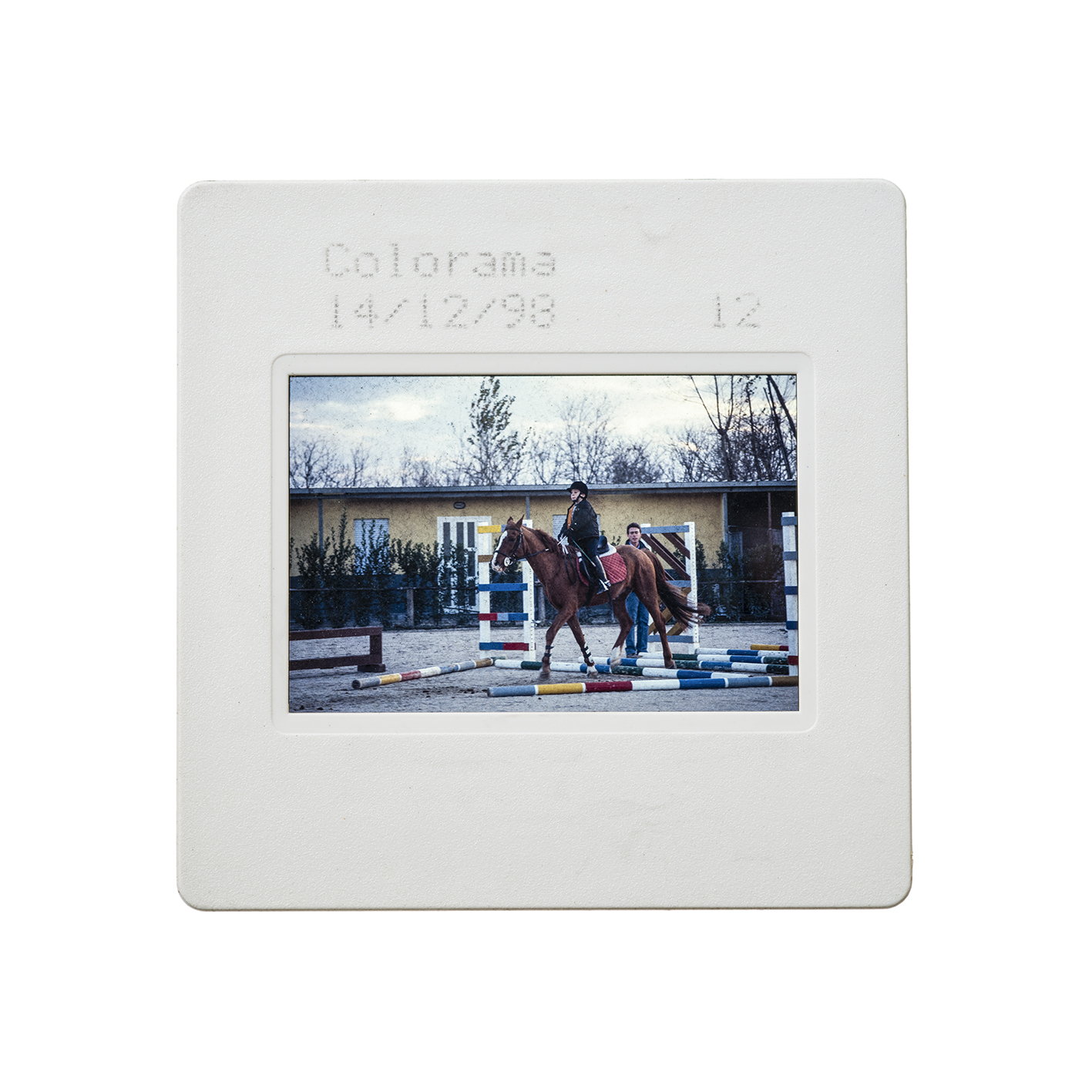 colorama (12).jpg