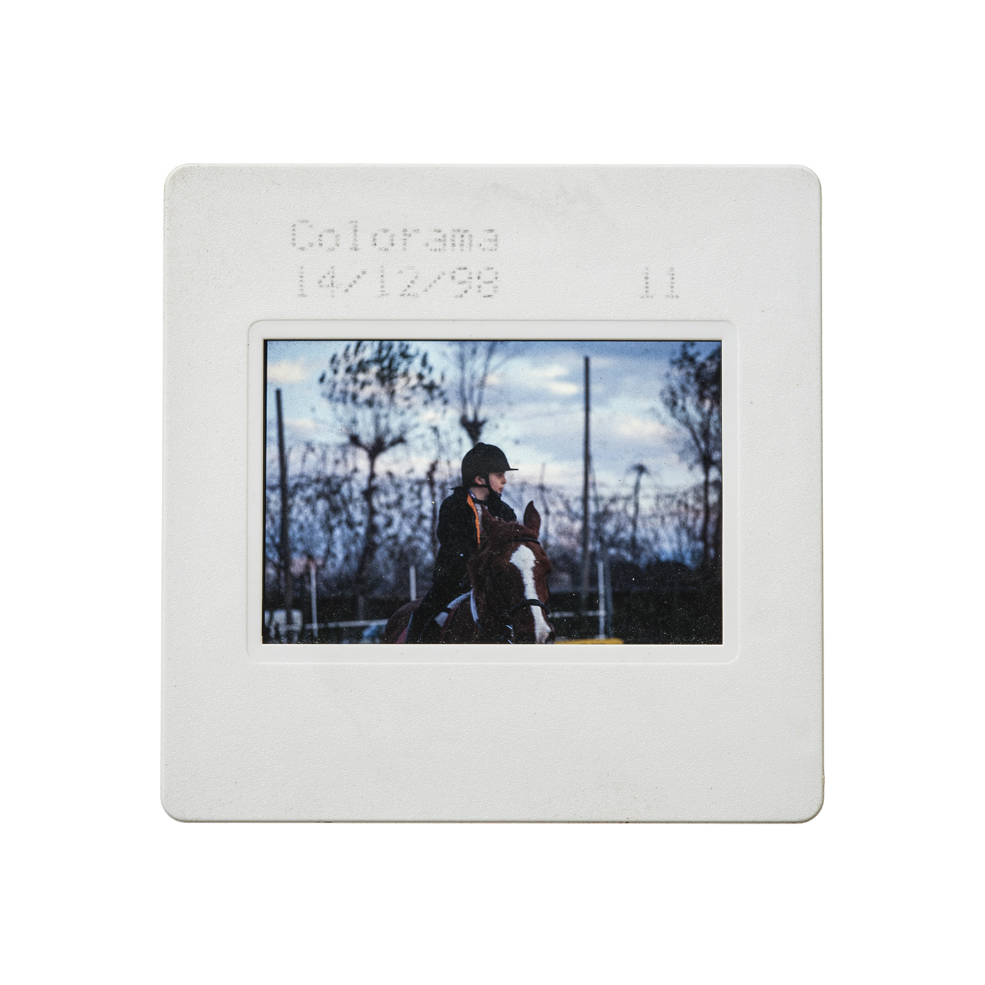 colorama (16).jpg