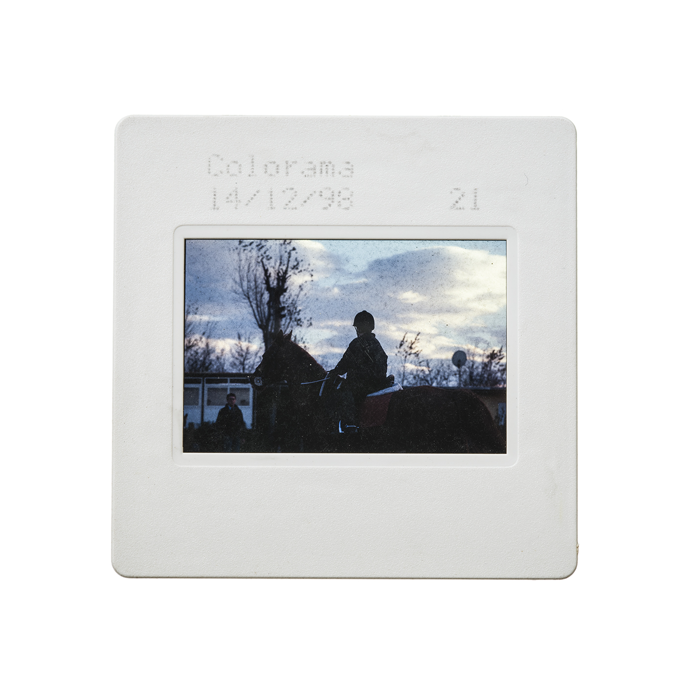 colorama (17).jpg
