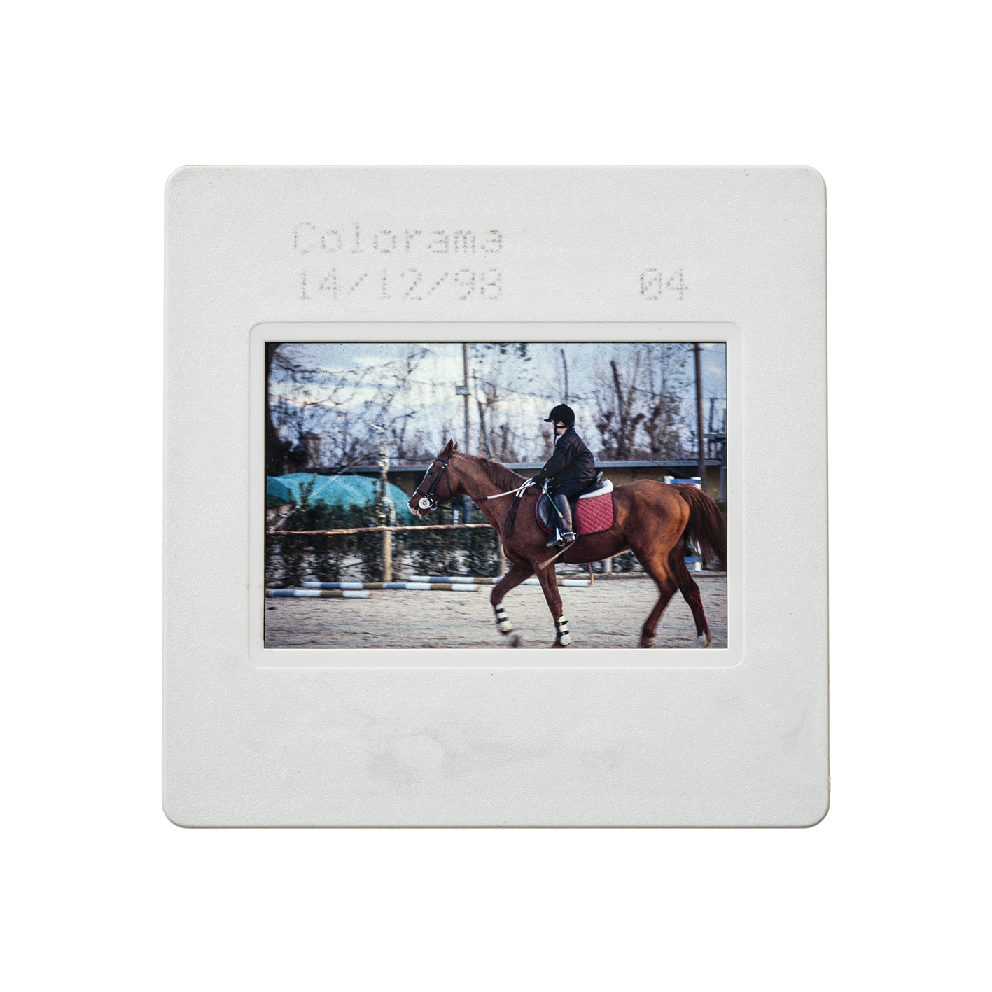 colorama (15).jpg