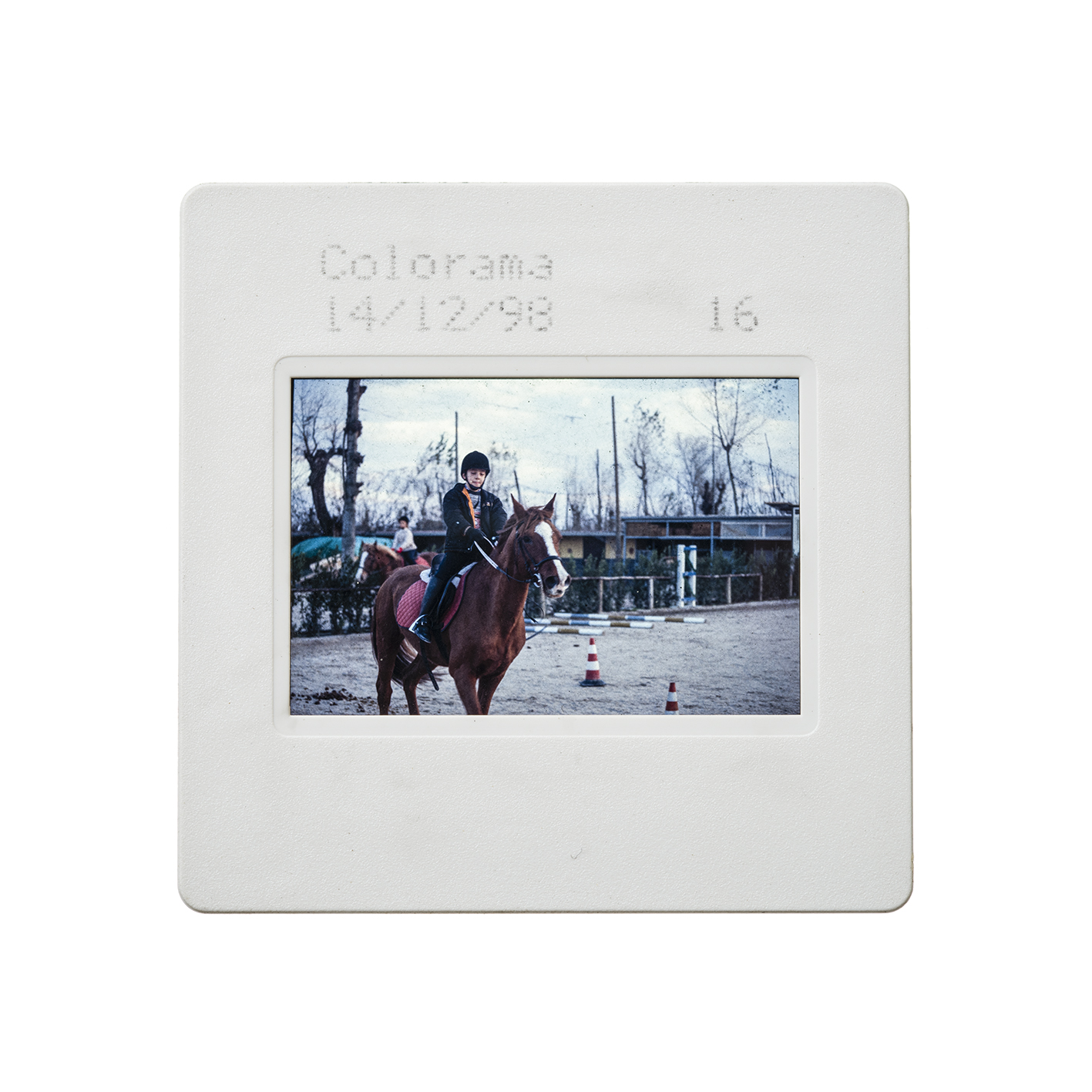 colorama (24).jpg