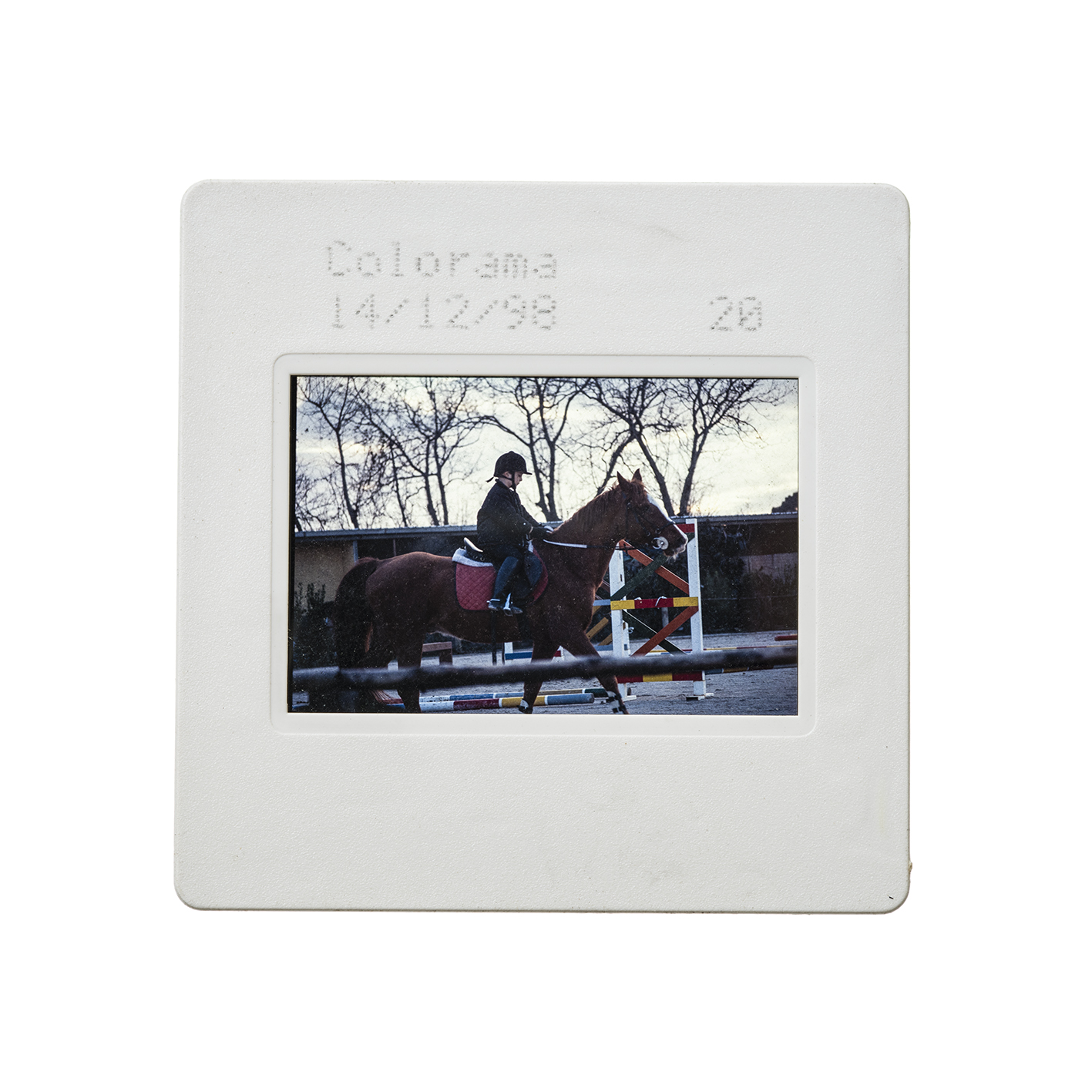 colorama (23).jpg