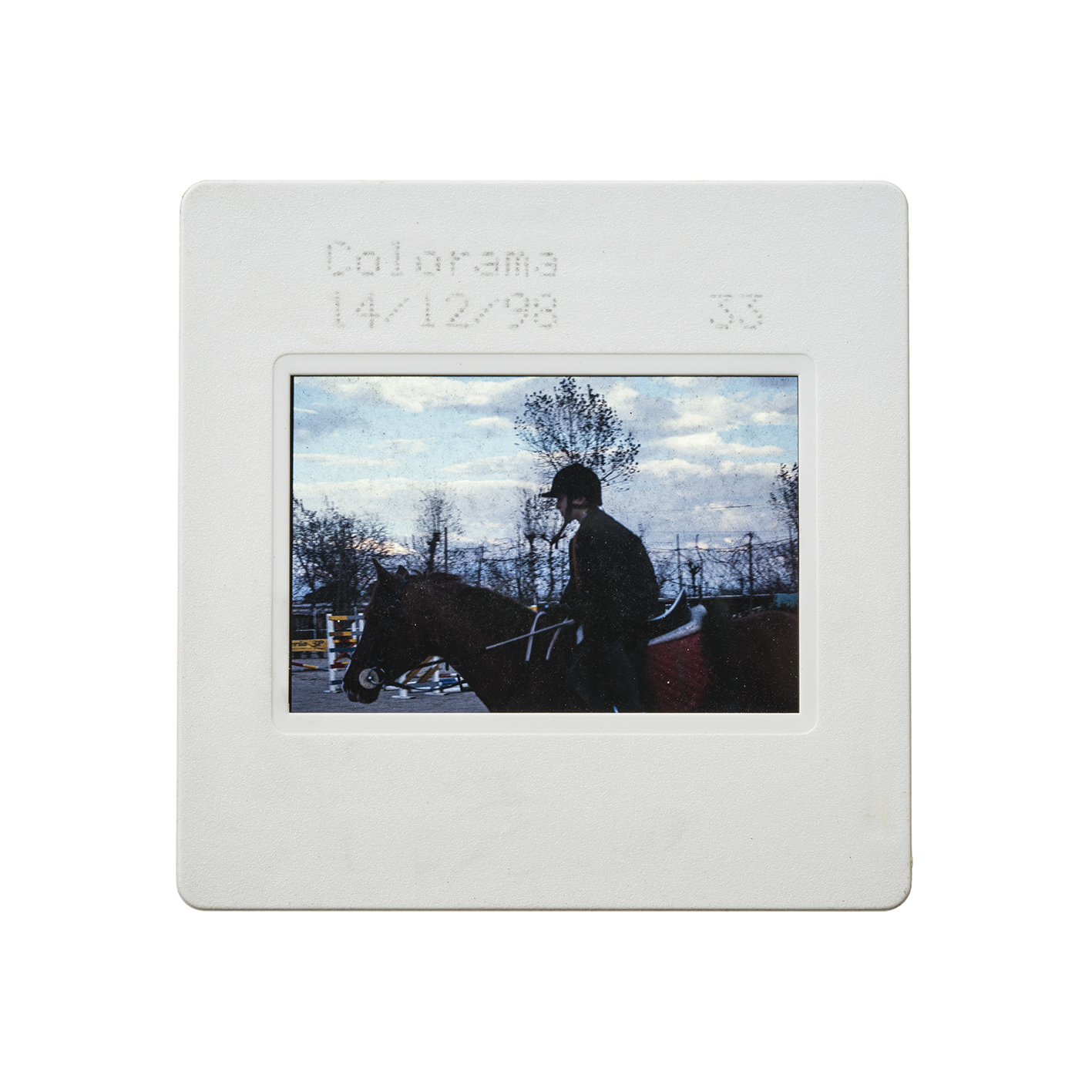 colorama (25).jpg