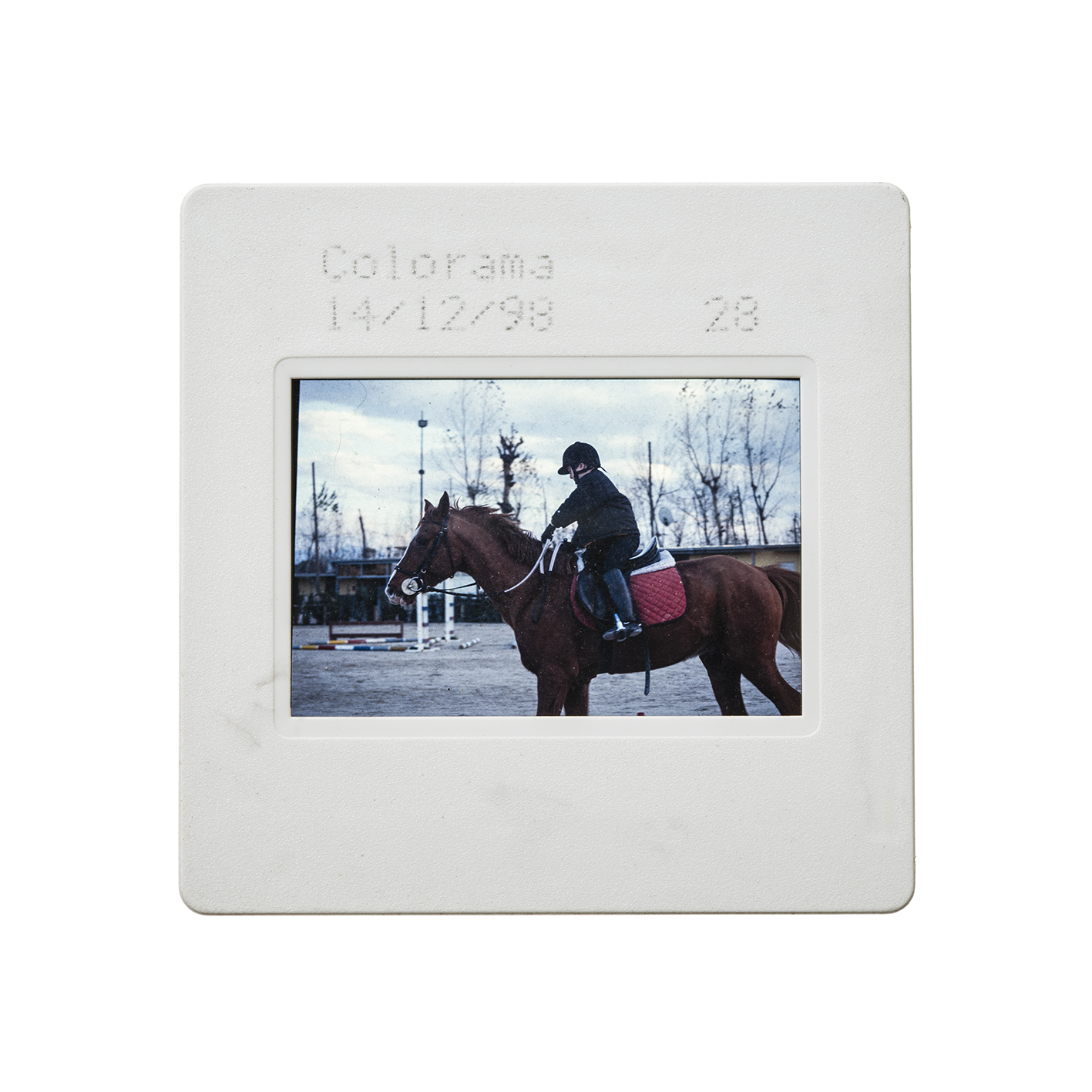 colorama (33).jpg