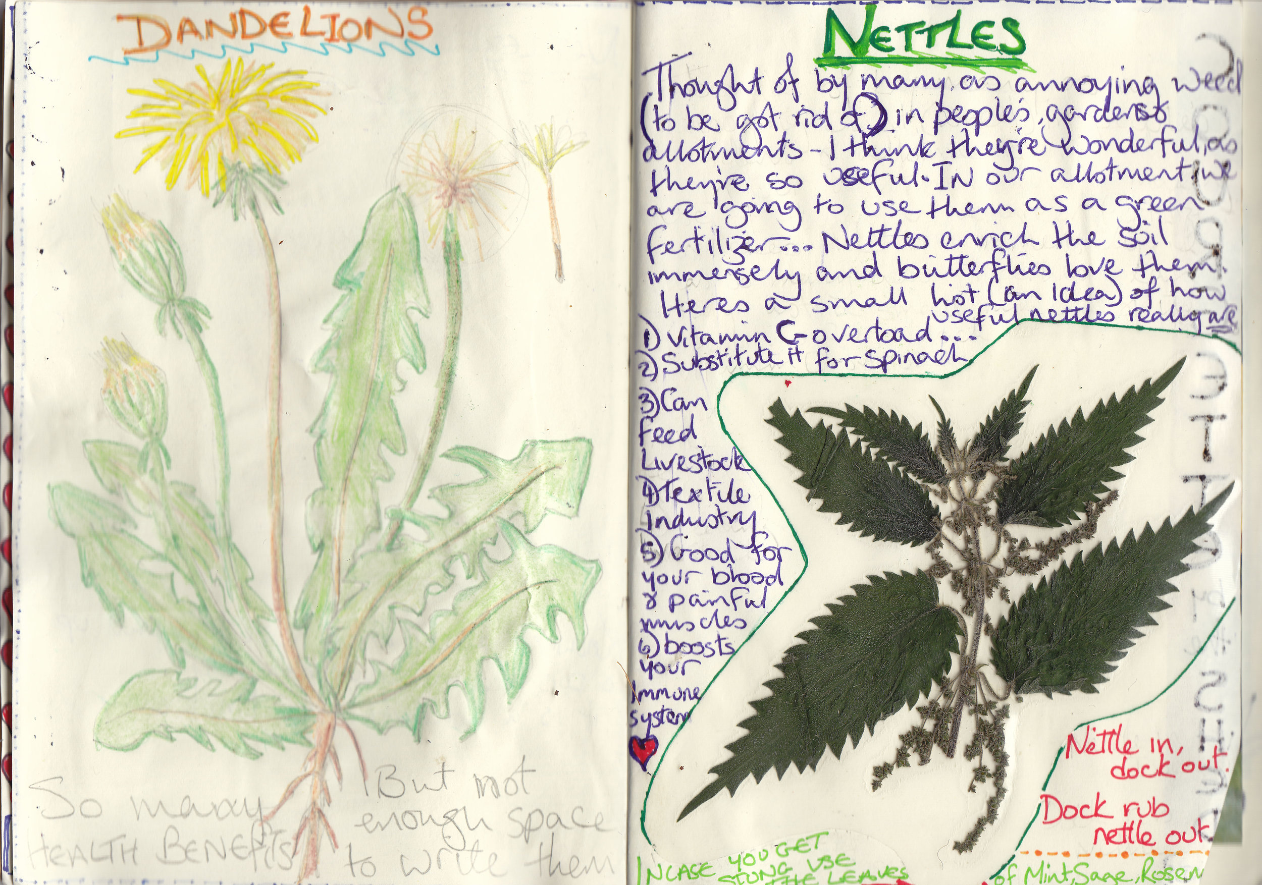 Paula, Nature Diary 1