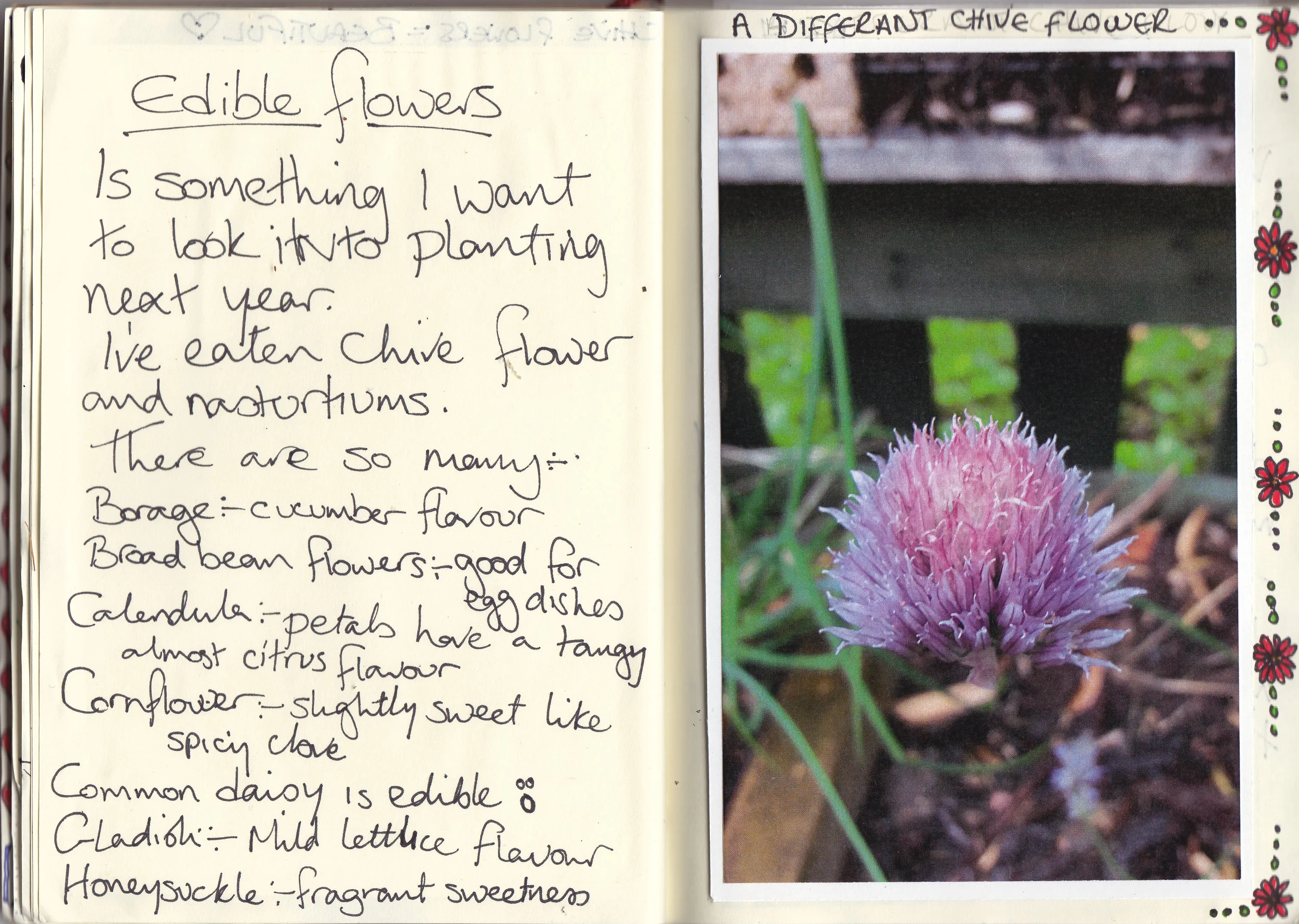 Paula, Nature Diary 1