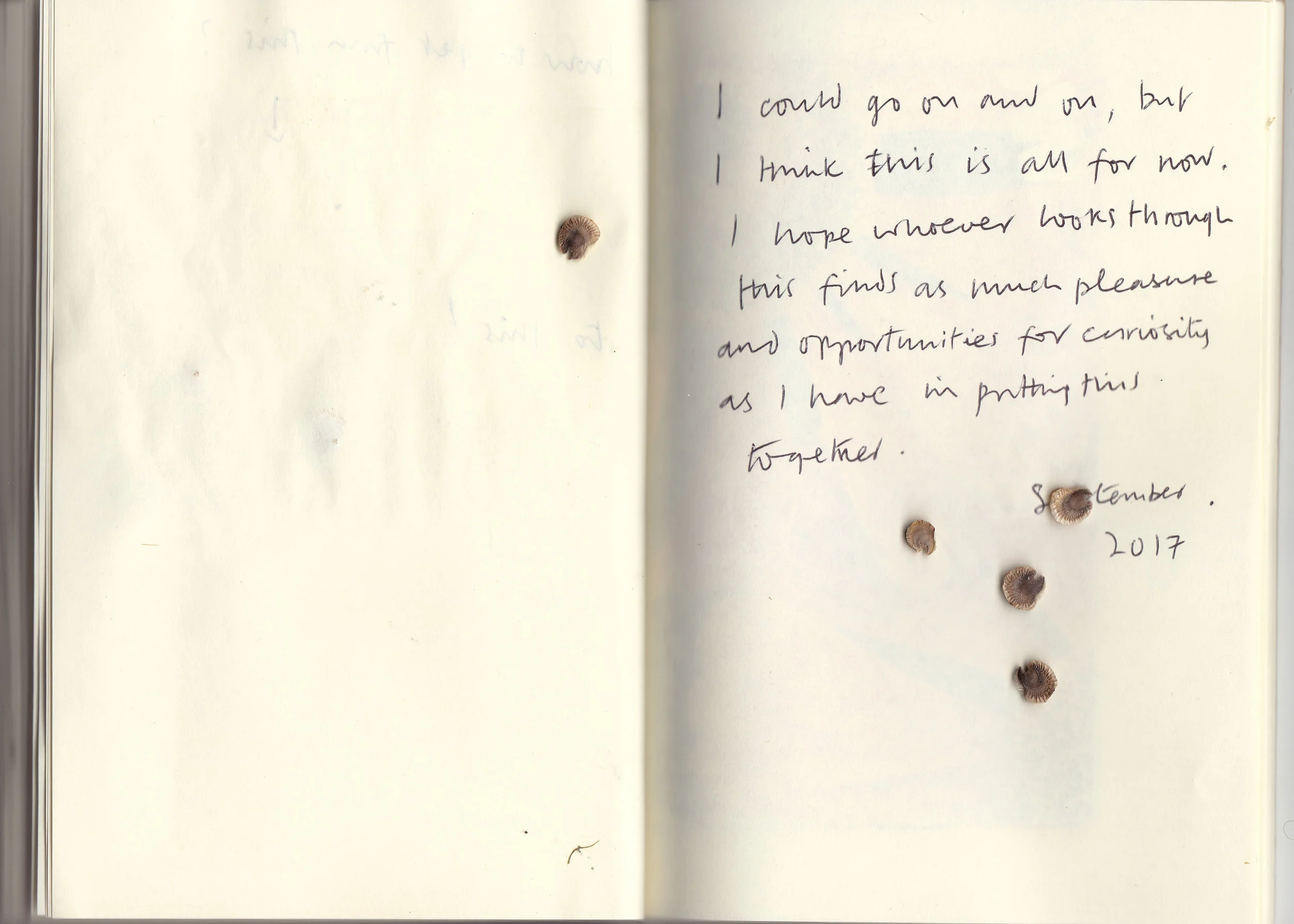 Anonymous 1, Nature Diary
