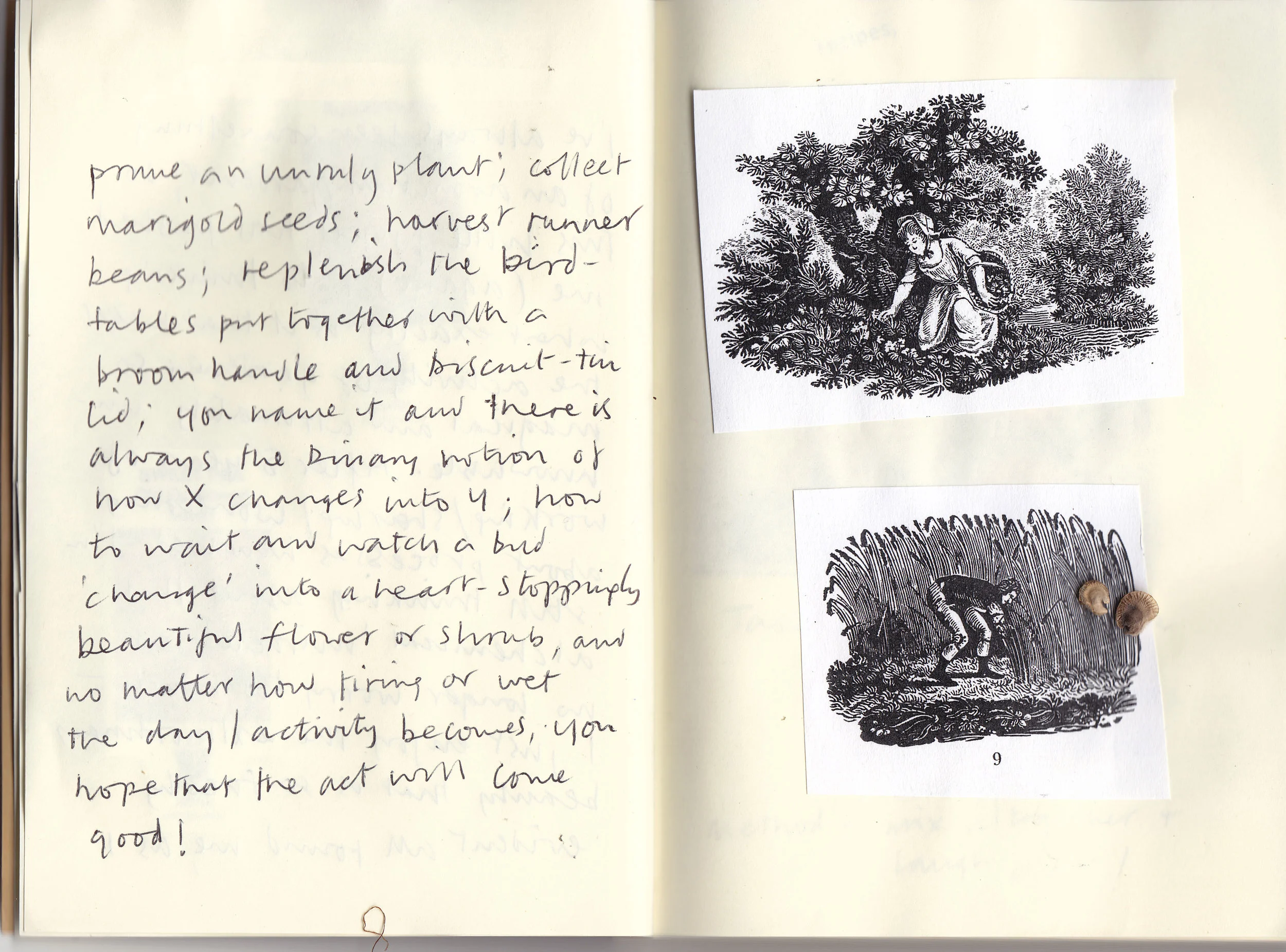 Anonymous 1, Nature Diary