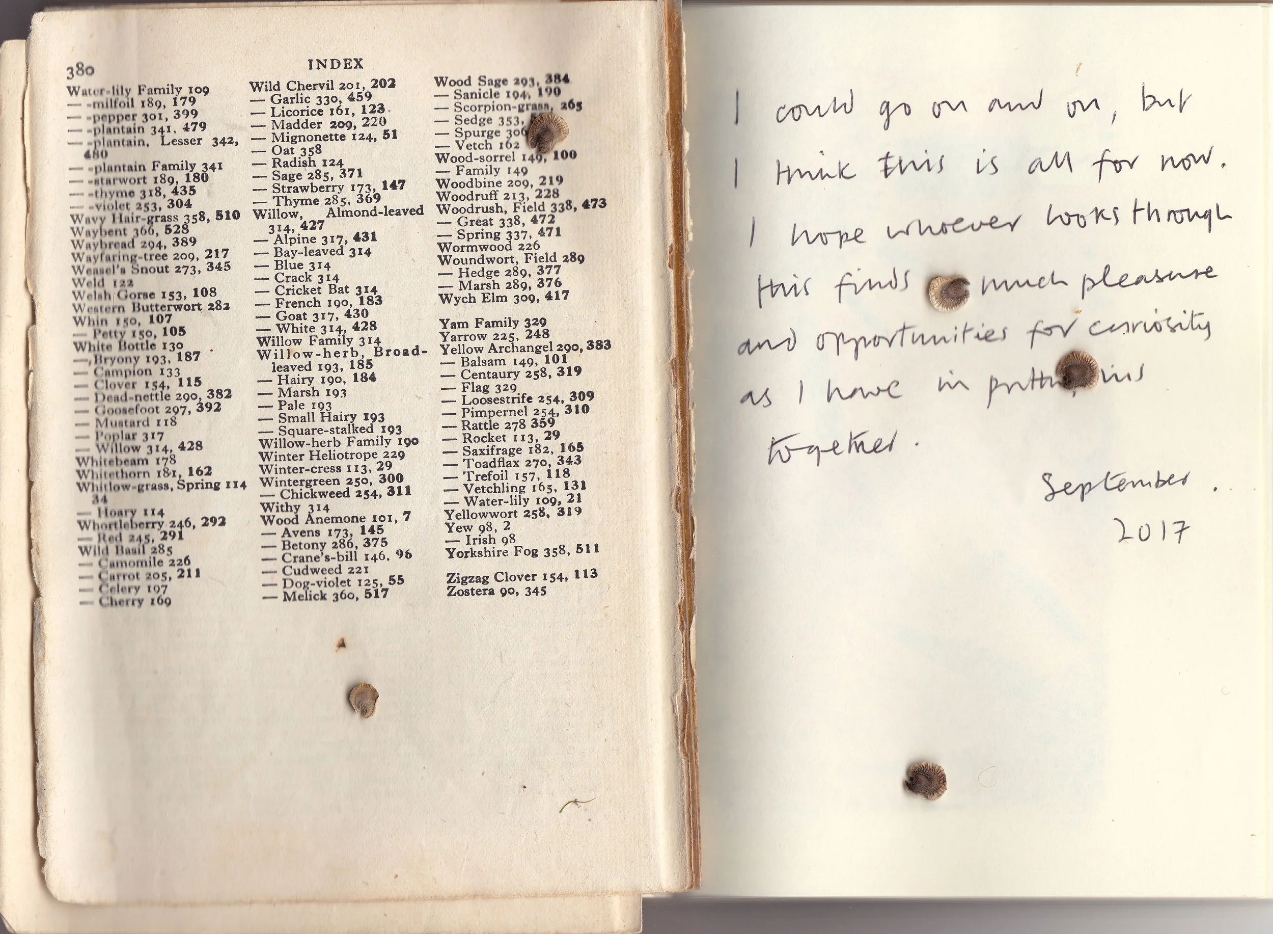 Anonymous 1, Nature Diary