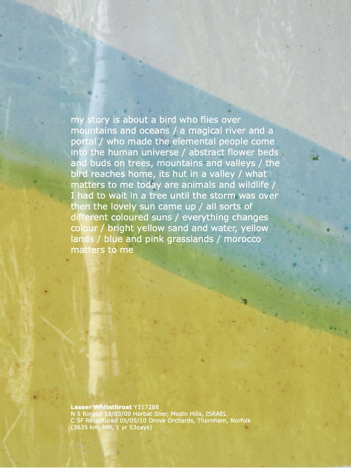 11_LesserWhiteThroat_TextLayouts_ArburyPrimarySchool cl.1.jpeg