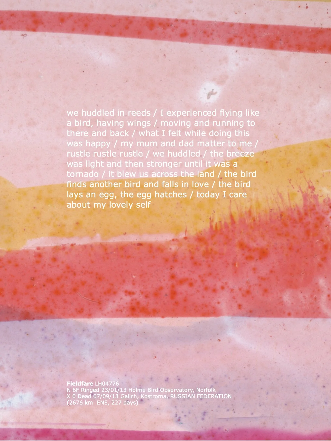 14_Fieldfare_TextLayouts_ArburyPrimarySchool .1.jpeg