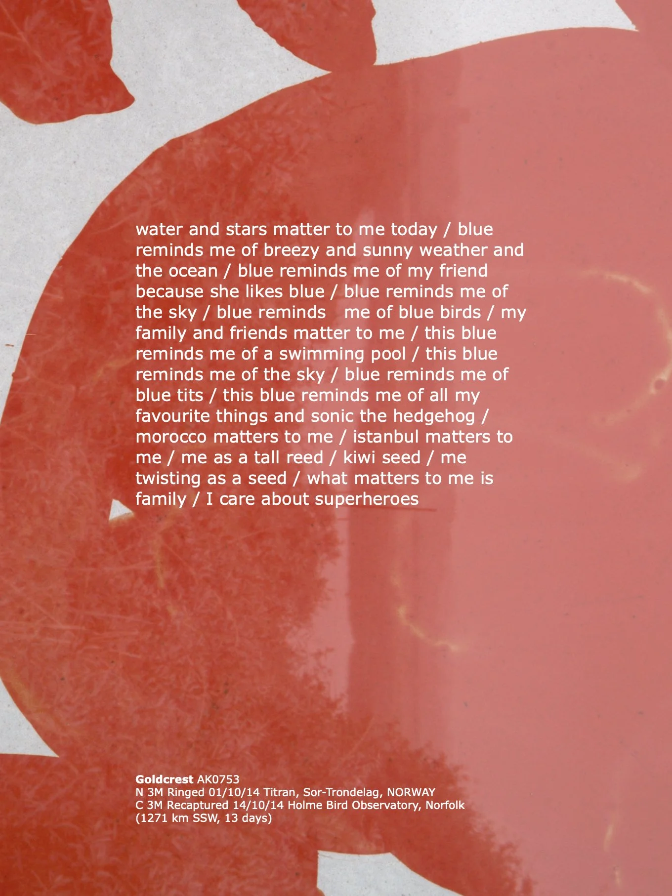 15_Goldcrest_TextLayouts_ArburyPrimarySchool copy 2.1.jpeg