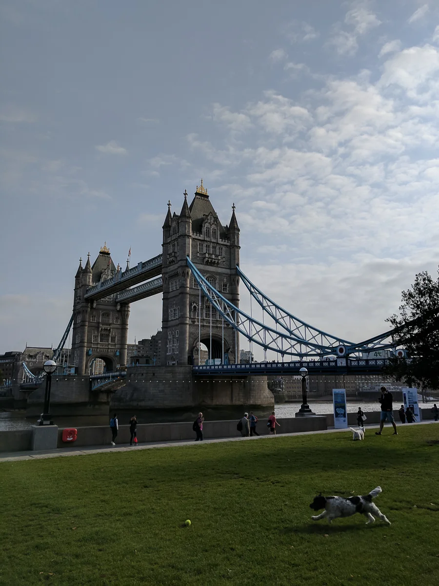 IMG_20170907_092436.jpg