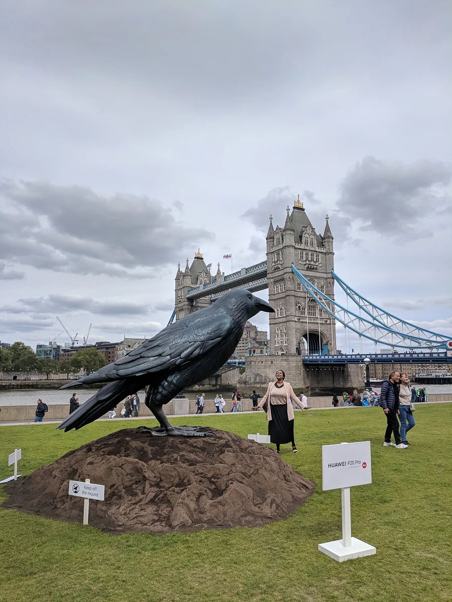 IMG_20180511_145921.jpg