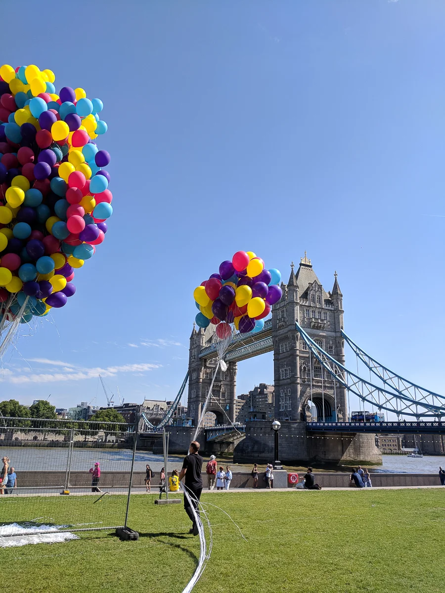 IMG_20180724_104404.jpg