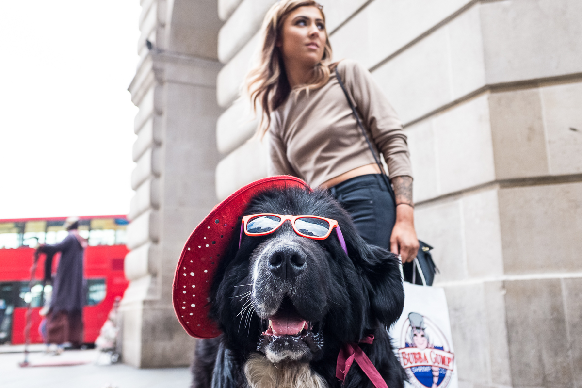 LondonStreets21.jpg