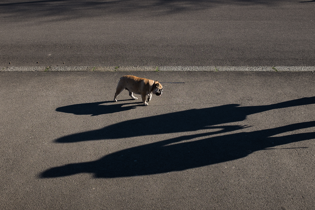 LondonStreets36.jpg