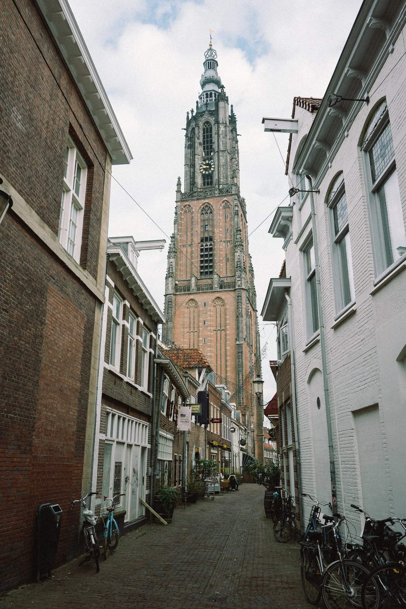 20260310-NZF_0095.jpg