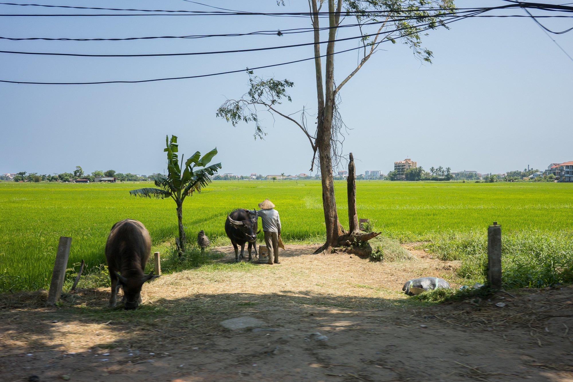Vietnam-67.jpg