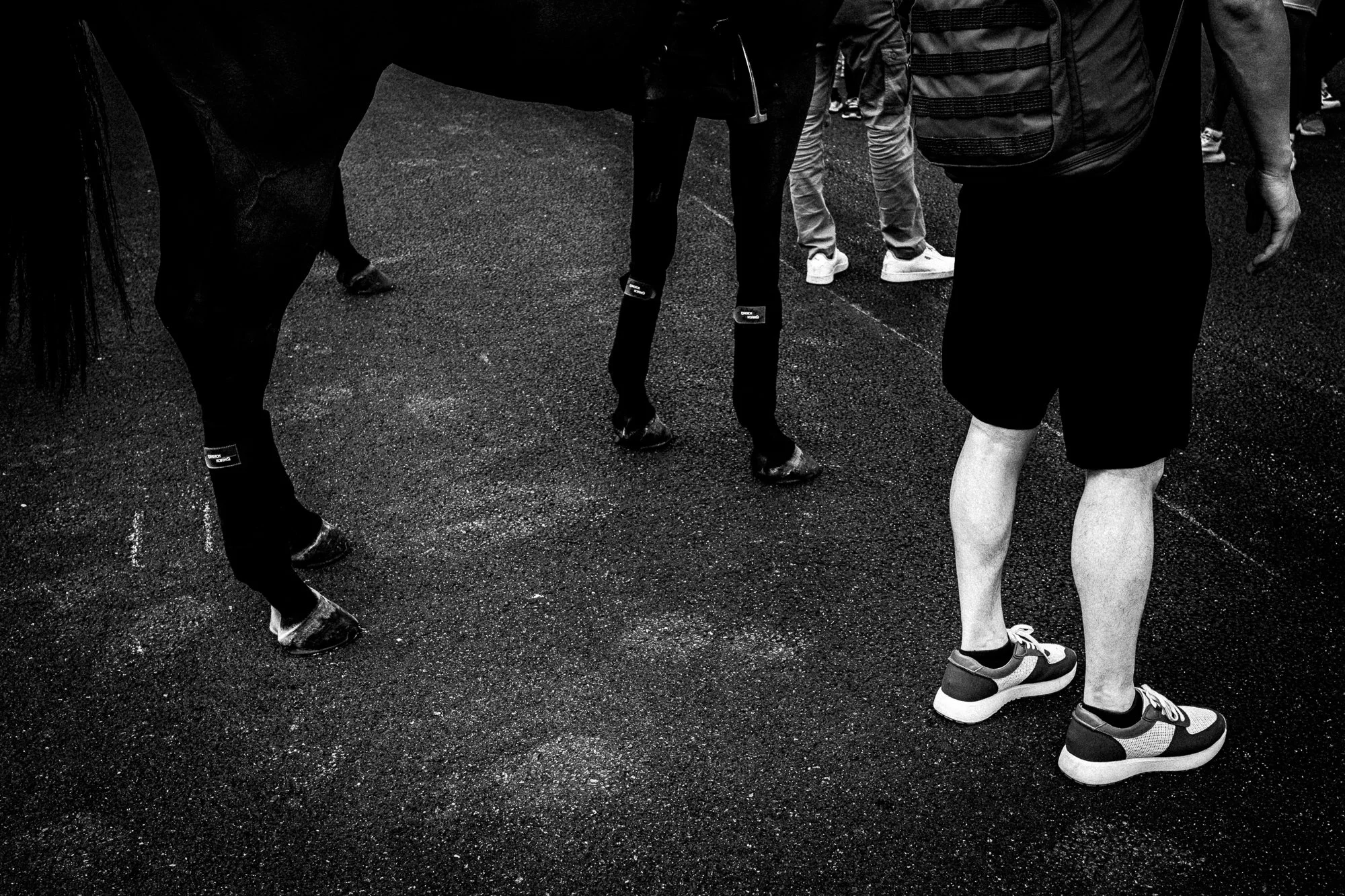 BnW 2026 (15).jpg