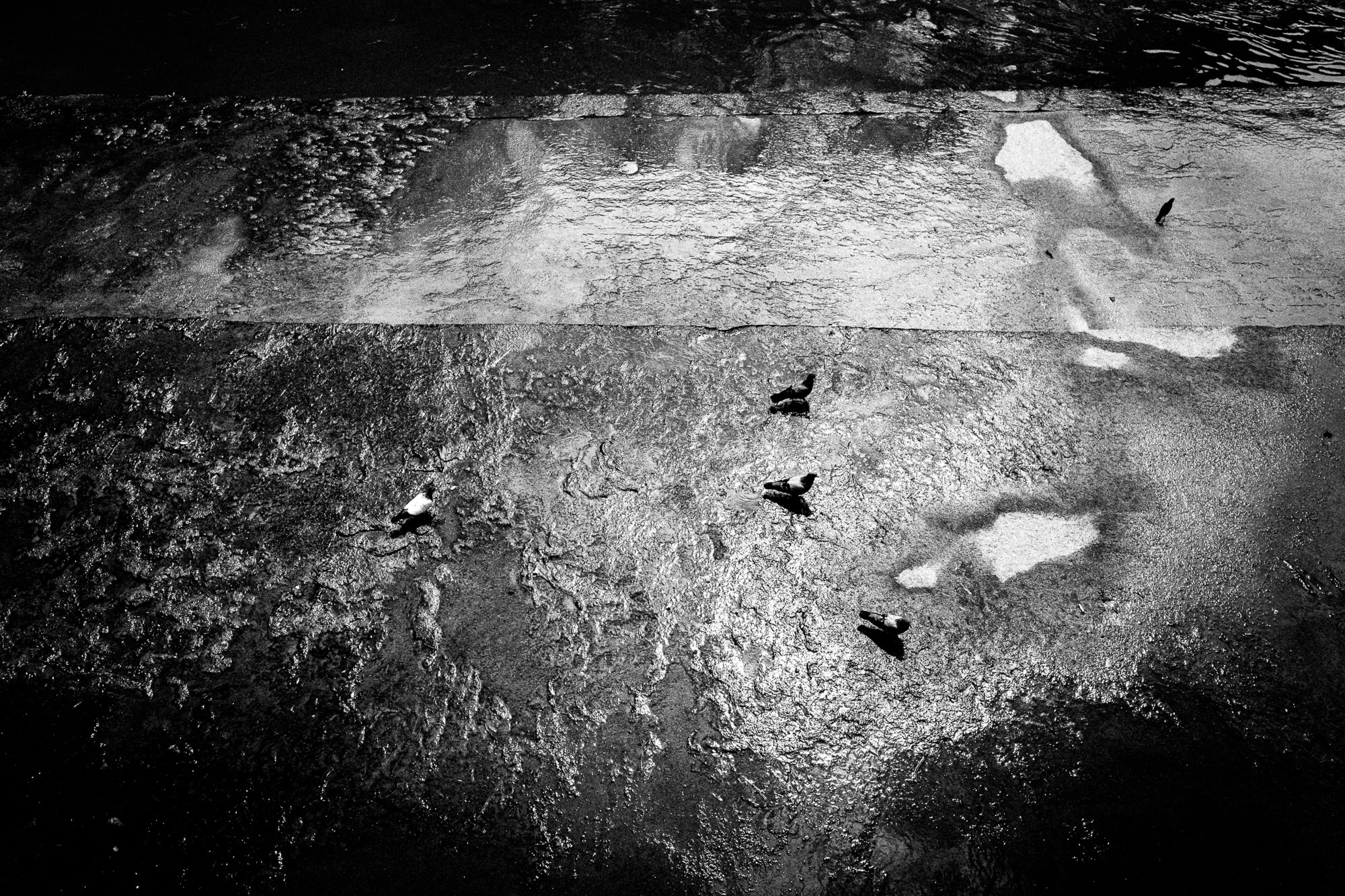 BnW 2026 (44).jpg