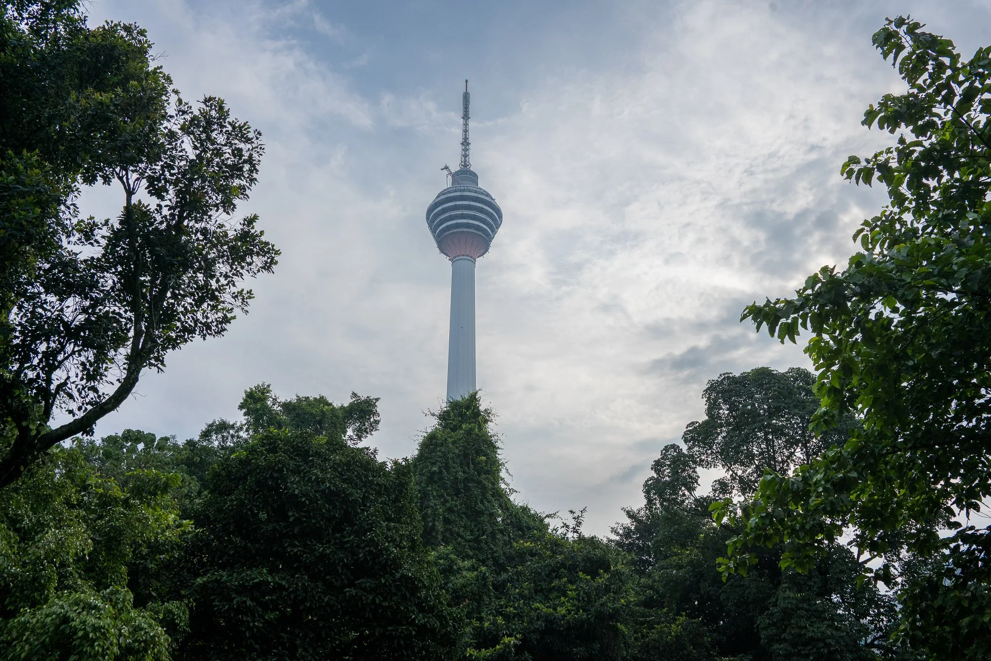 20260801-NZF_3493.jpg