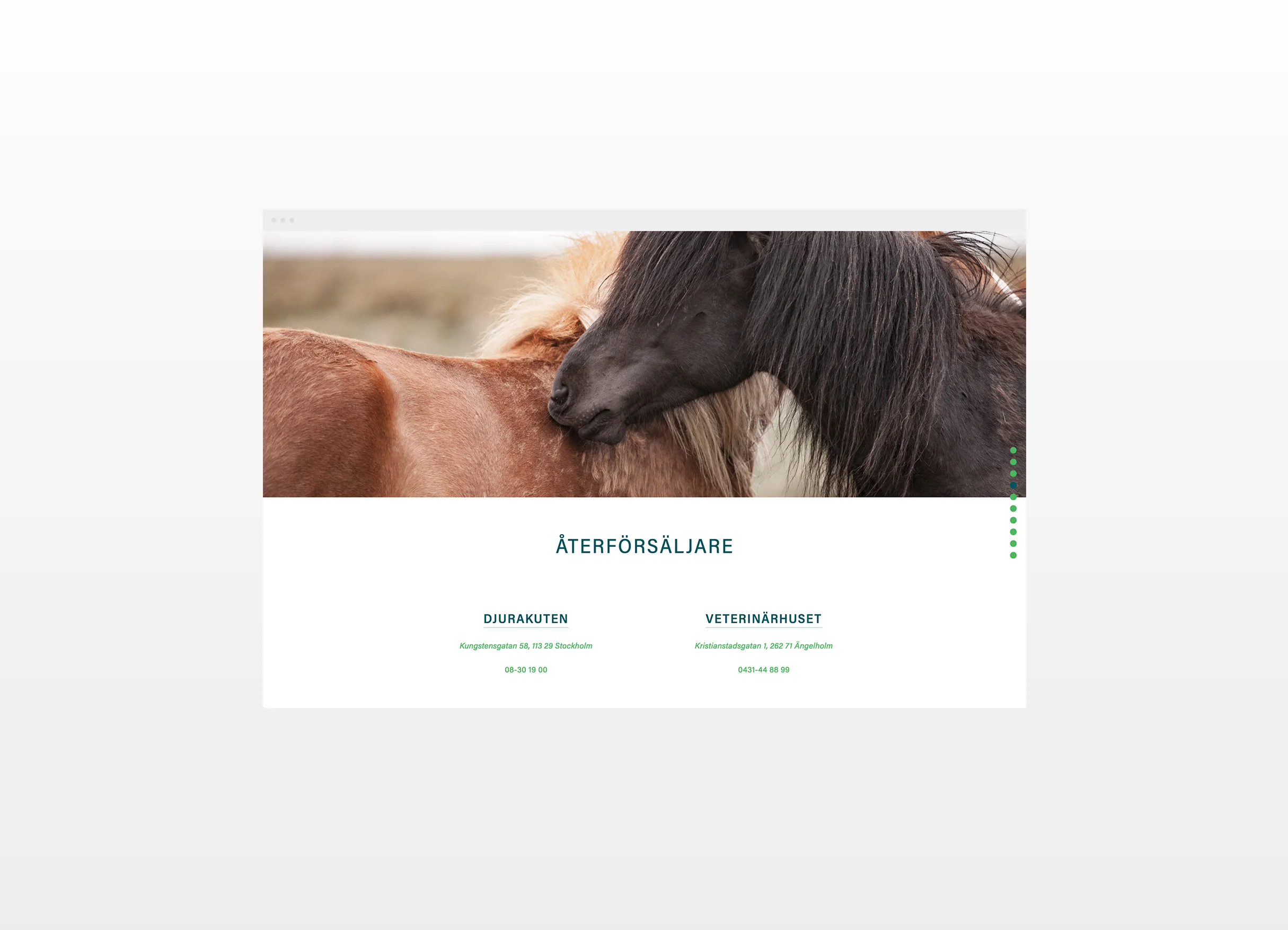4_Emollivet_WebPage1.jpg