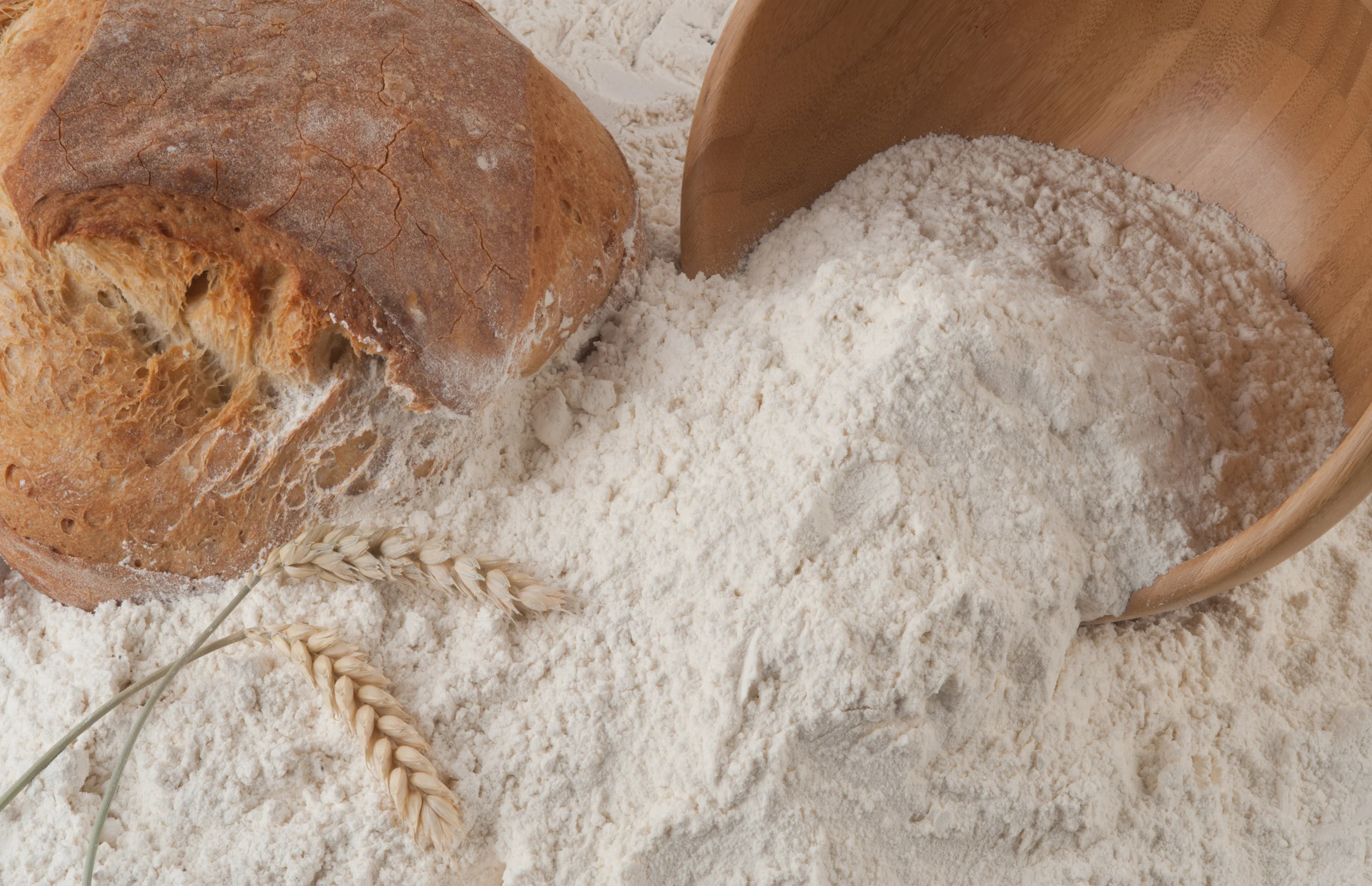 Harina Fuerza Especial High Protein Flour "Especial"