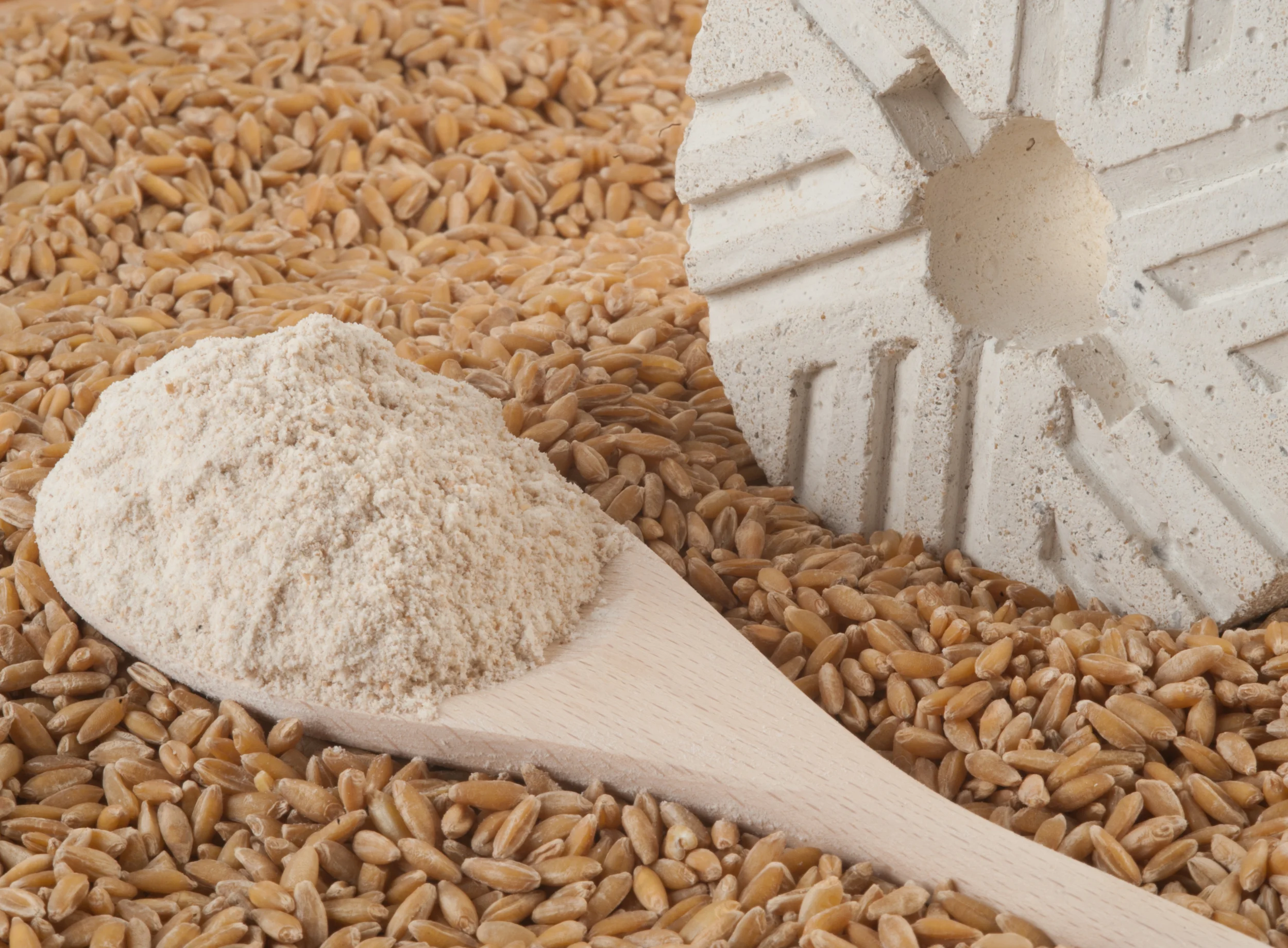 Harina de Tritordeum Integral Wholegrain Tritordeum Flour