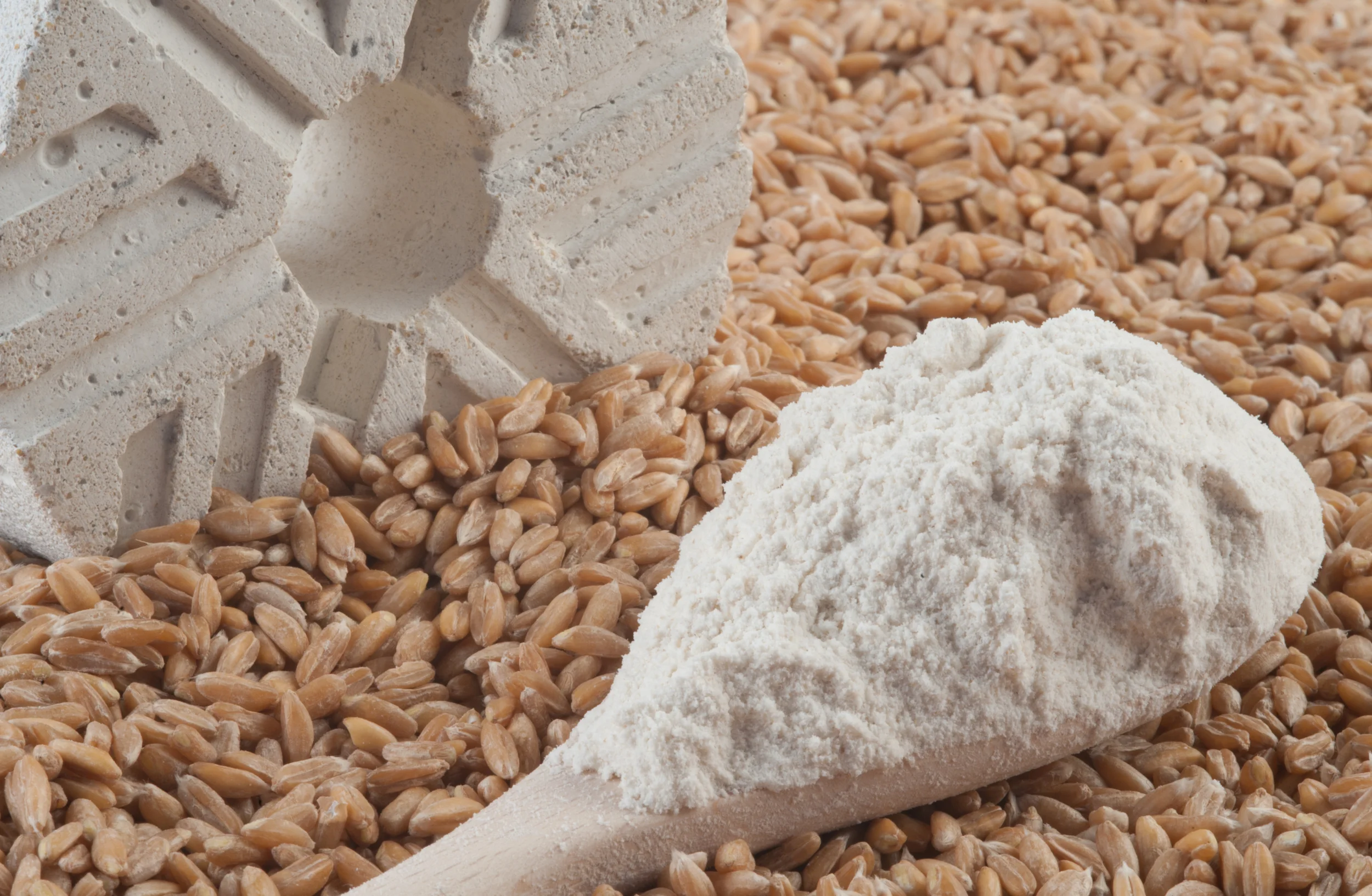 Harina de Espelta Spelt Flour