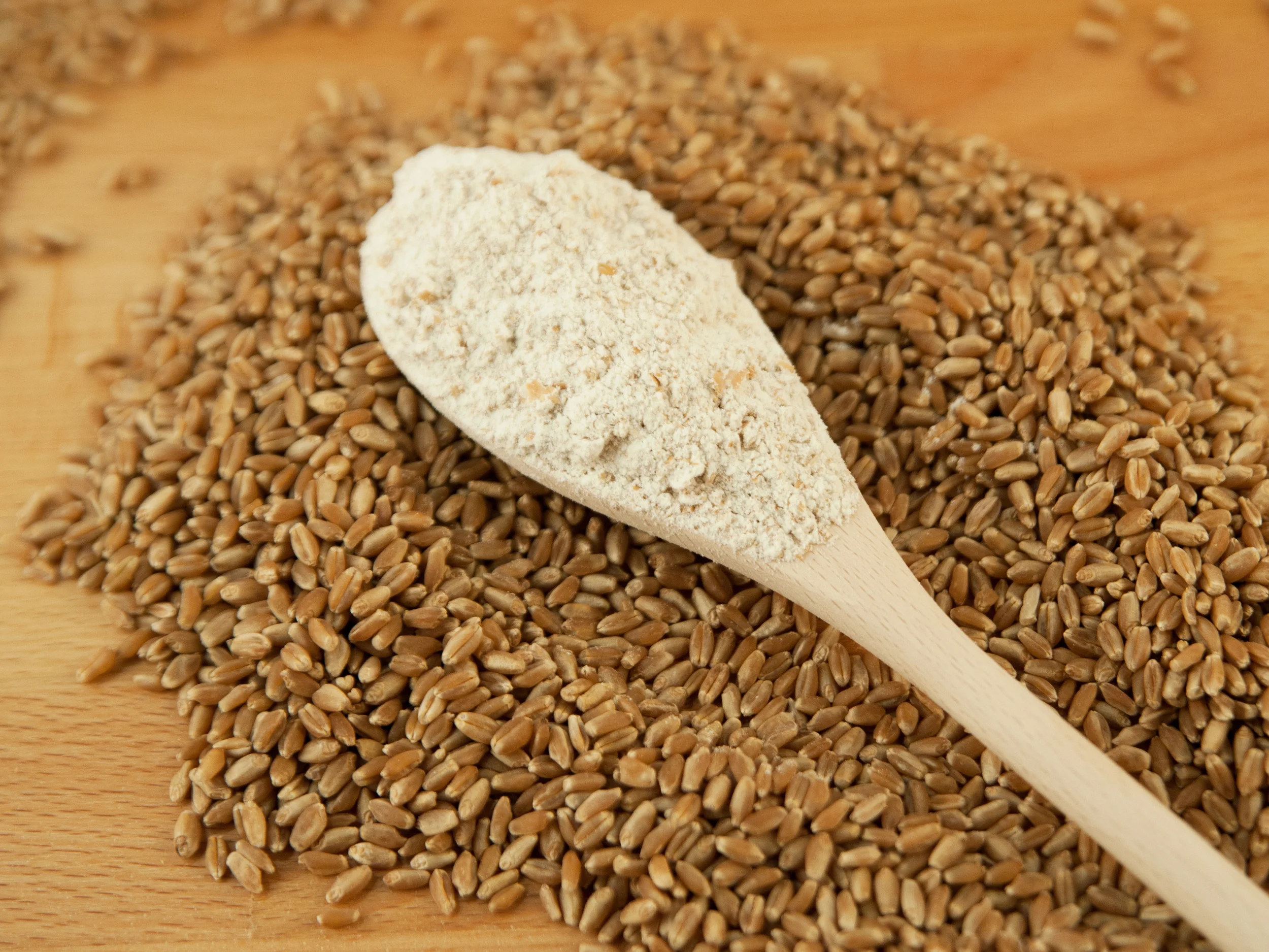 Harina de Trigo Wheat Flour