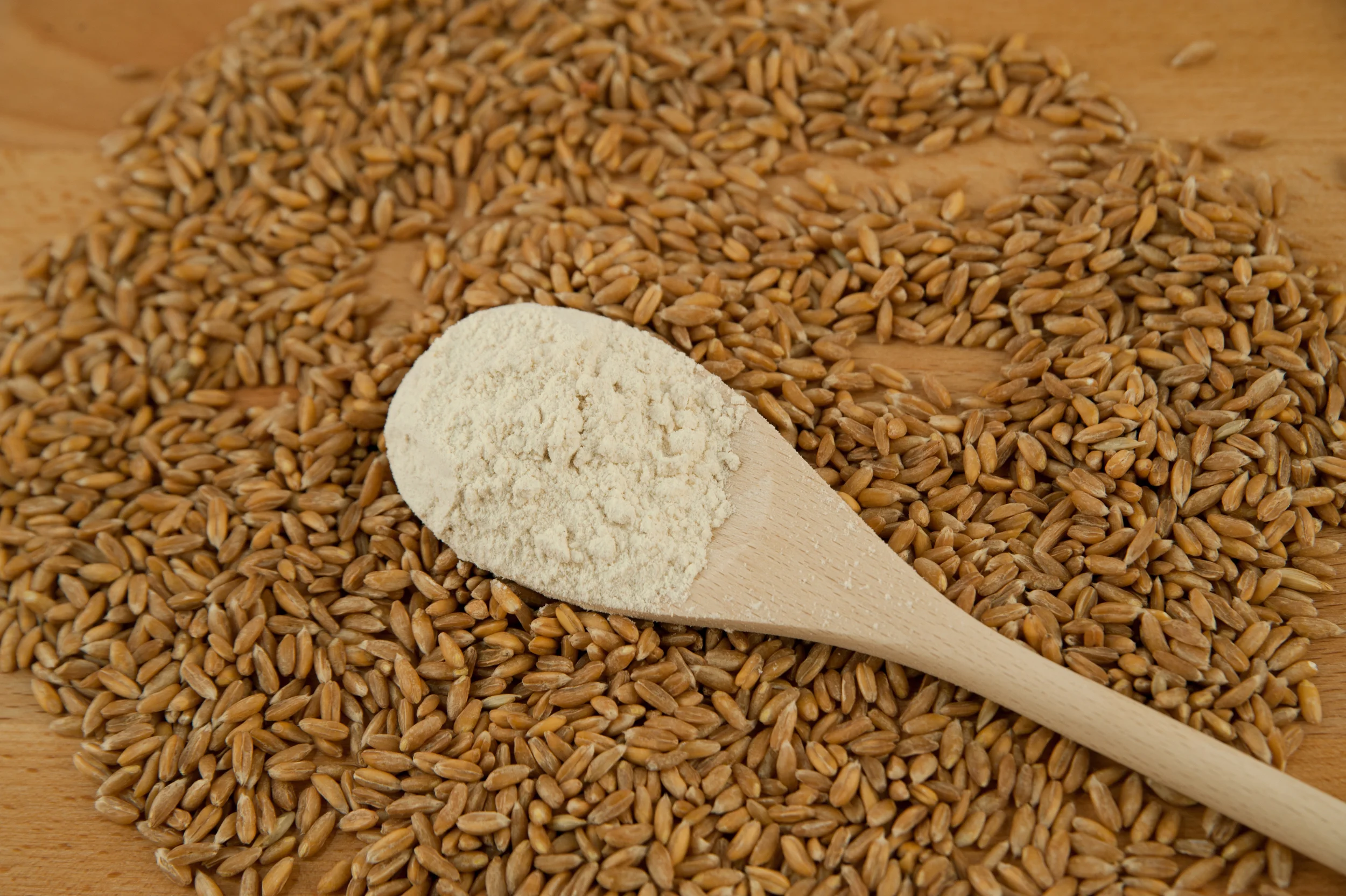 Harina de Espelta Spelt Flour