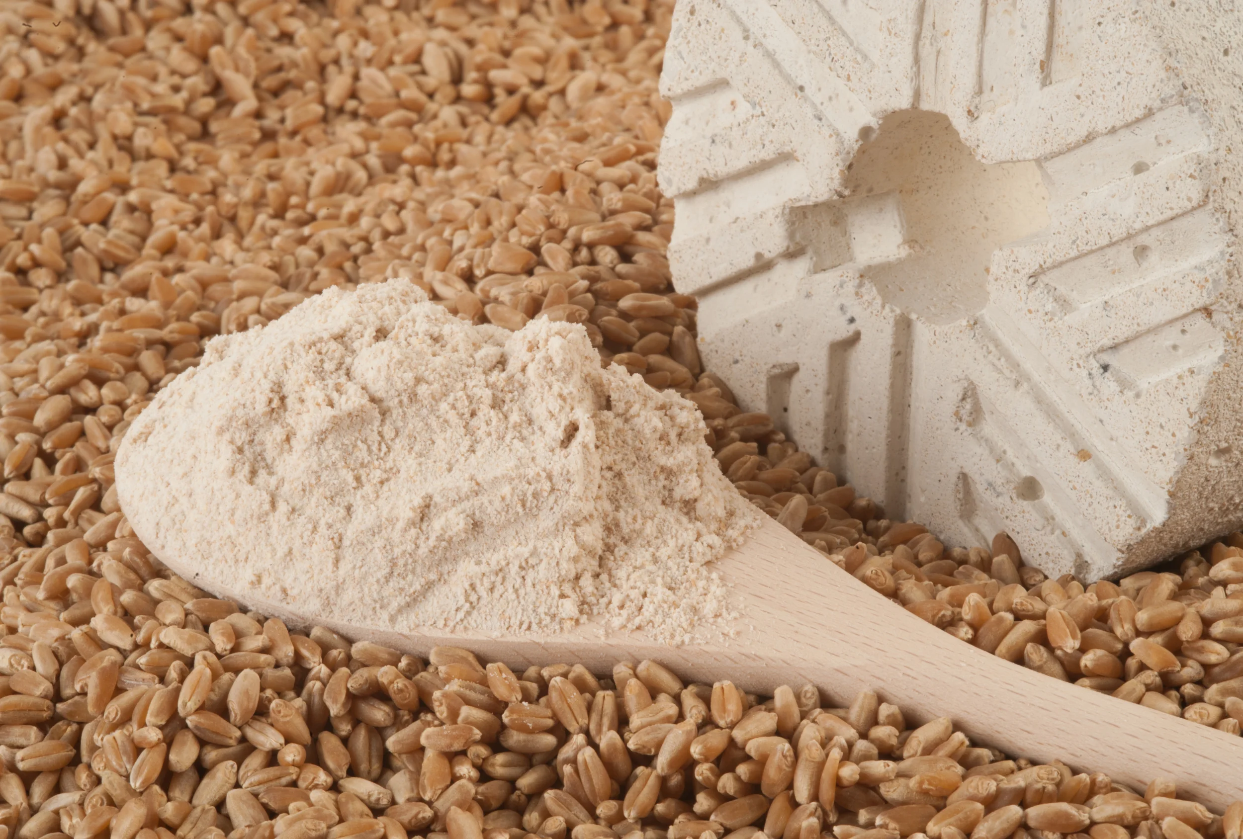 Harina de Trigo Wheat Flour