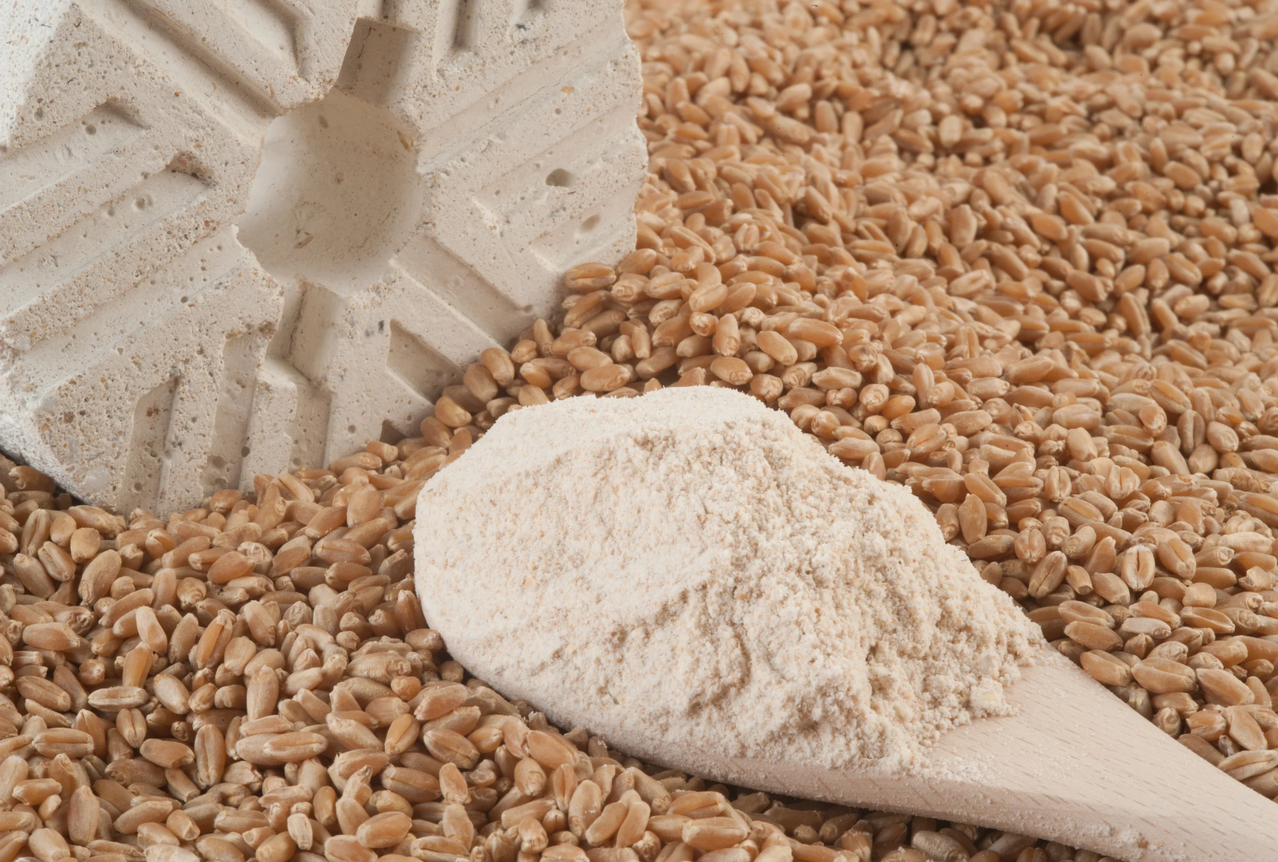 Harina de Trigo Integral Wholegrain Wheat Flour