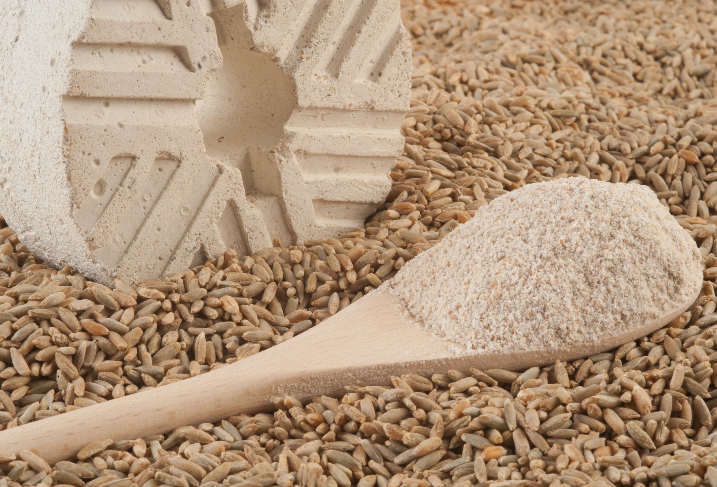 Harina de Centeno Integral Wholegrain Rye Flour