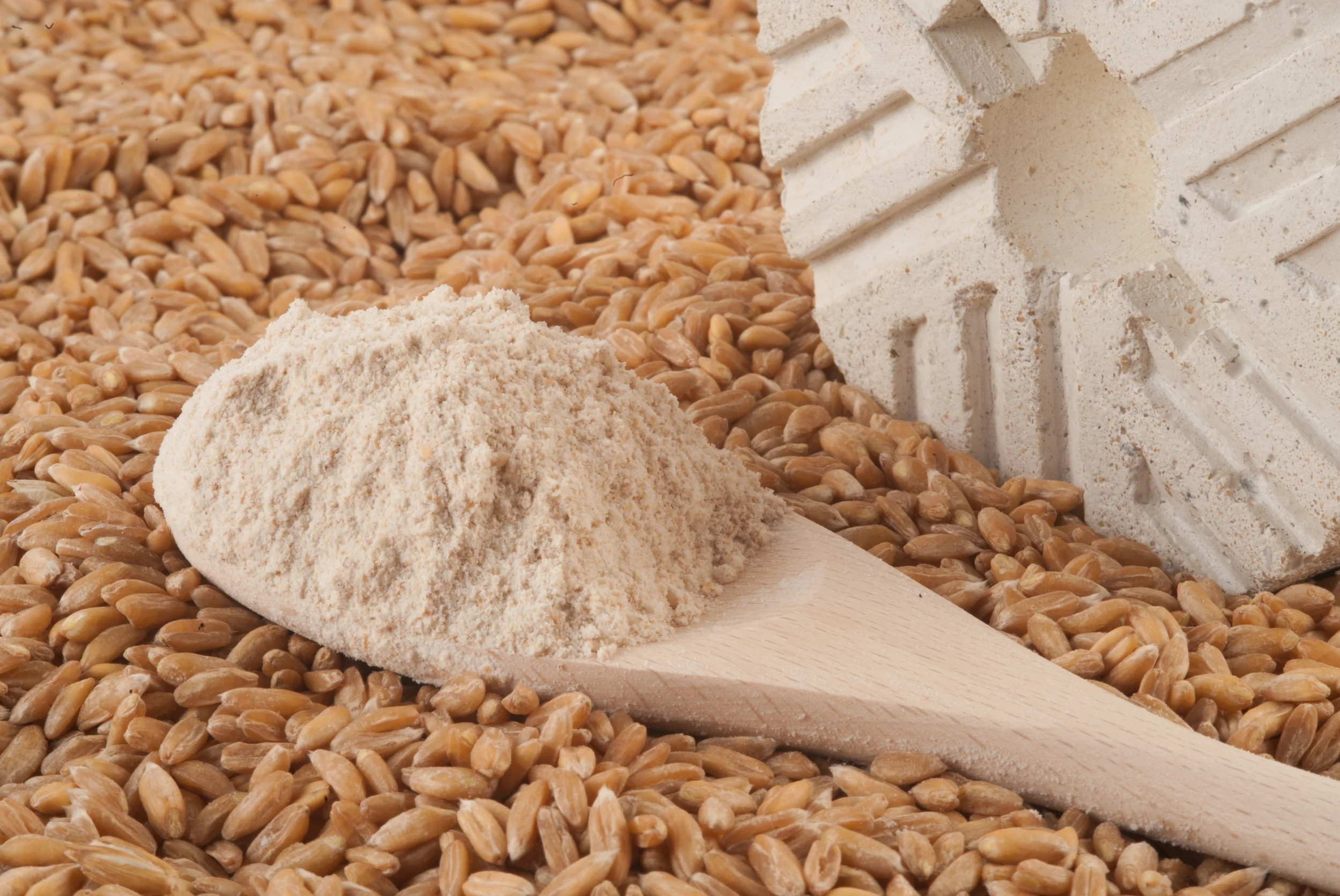 Harina de Espelta Integral Wholegrain Spelt Flour