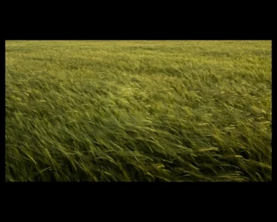 3º CLASIFICADO: Campos de seda (Javier Prieto Gallego)