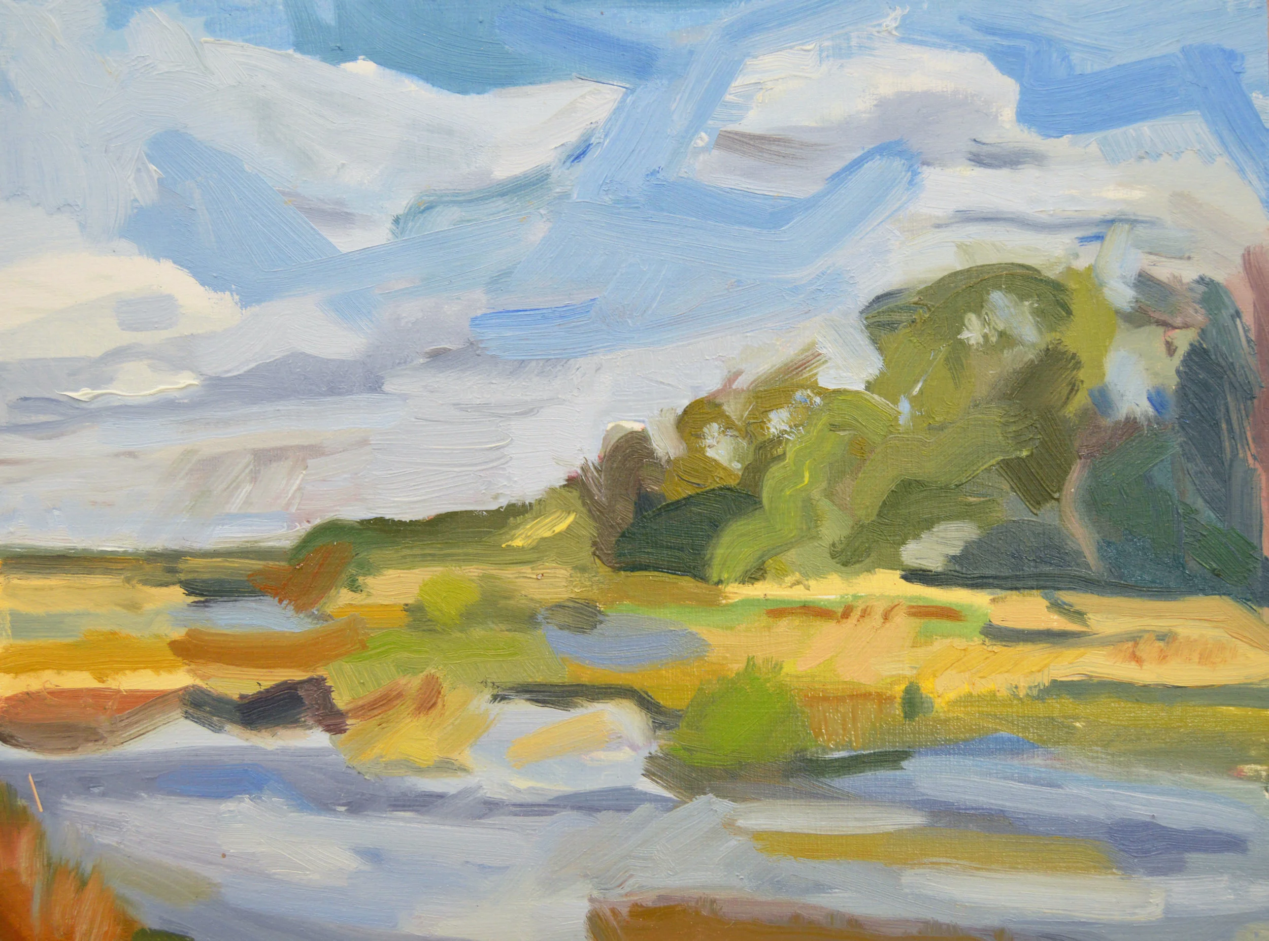Truro Marshes and a Clear Sky