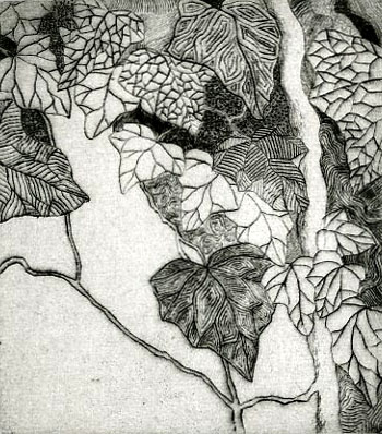 Laurie Piepenbrink
