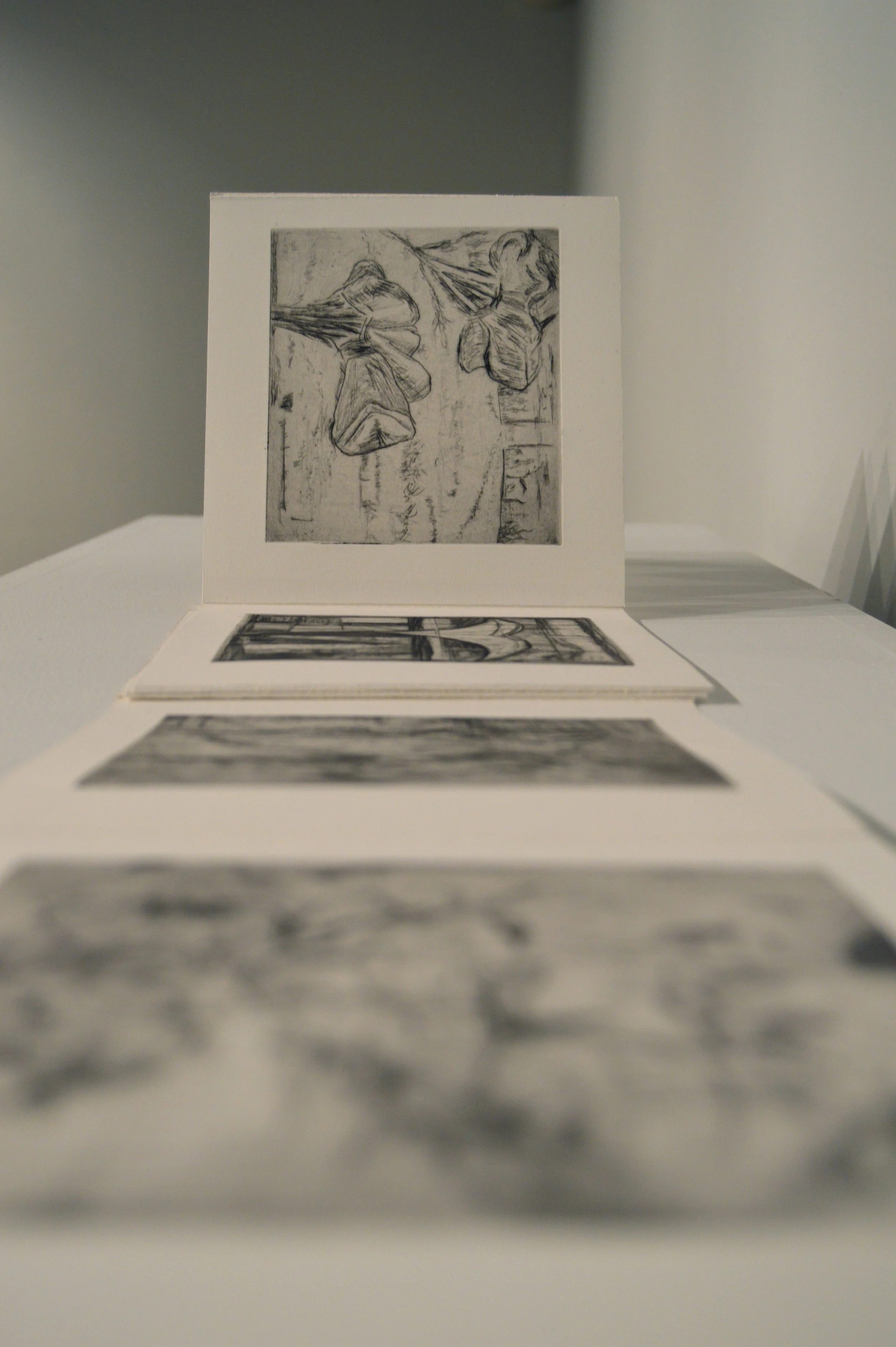 installation shot 