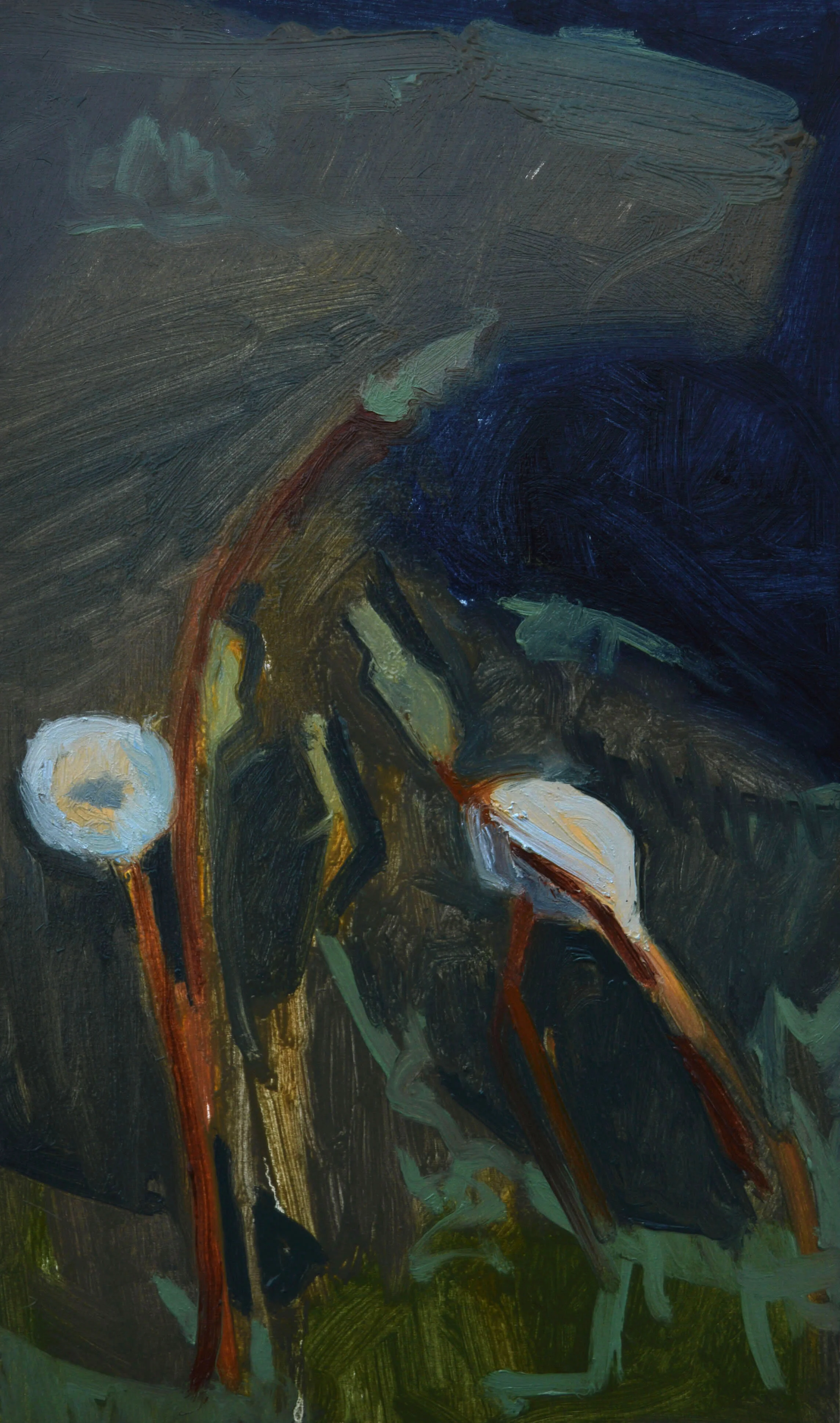 Light in the Dark III