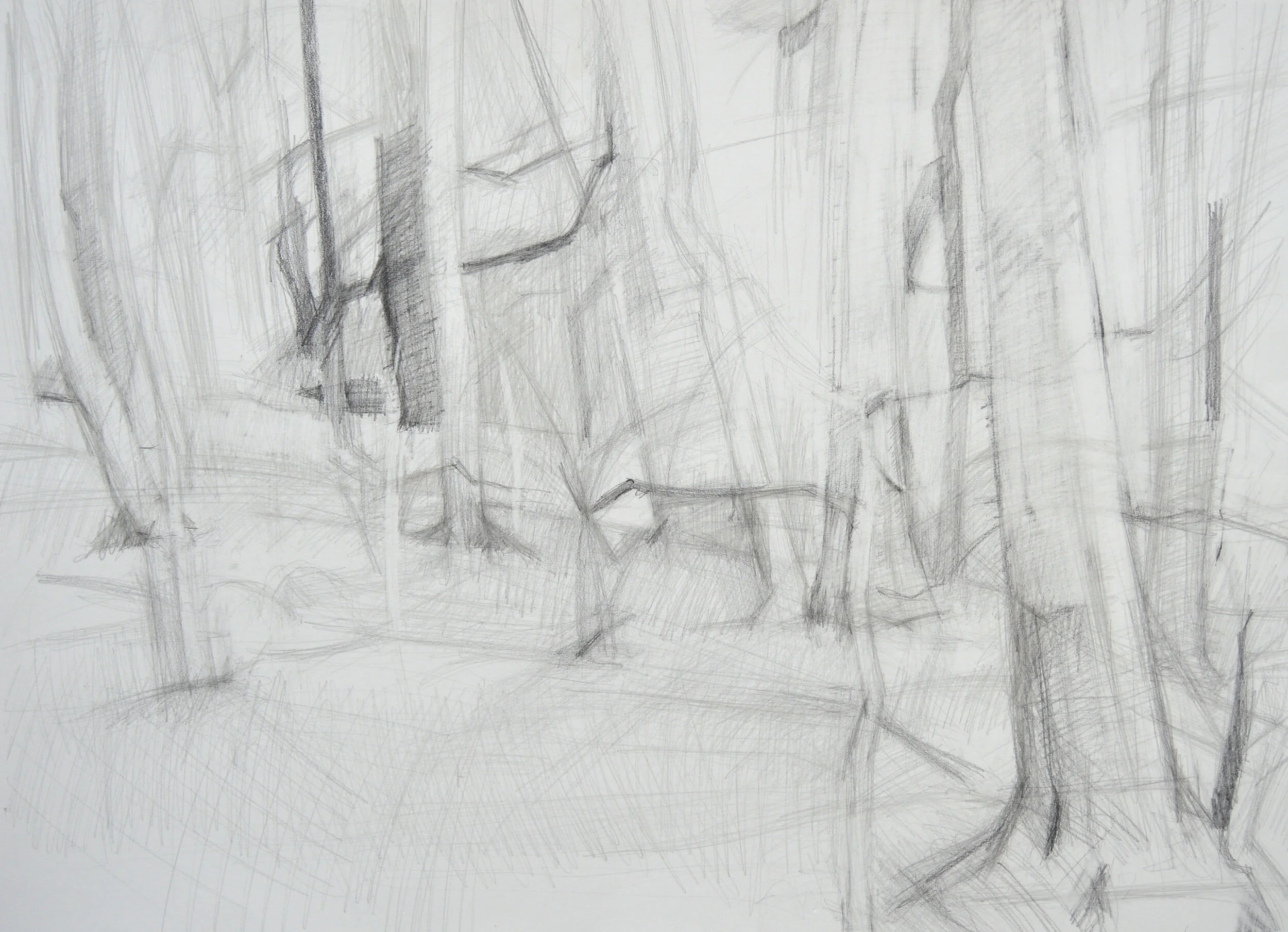 In-Progress Woodscape