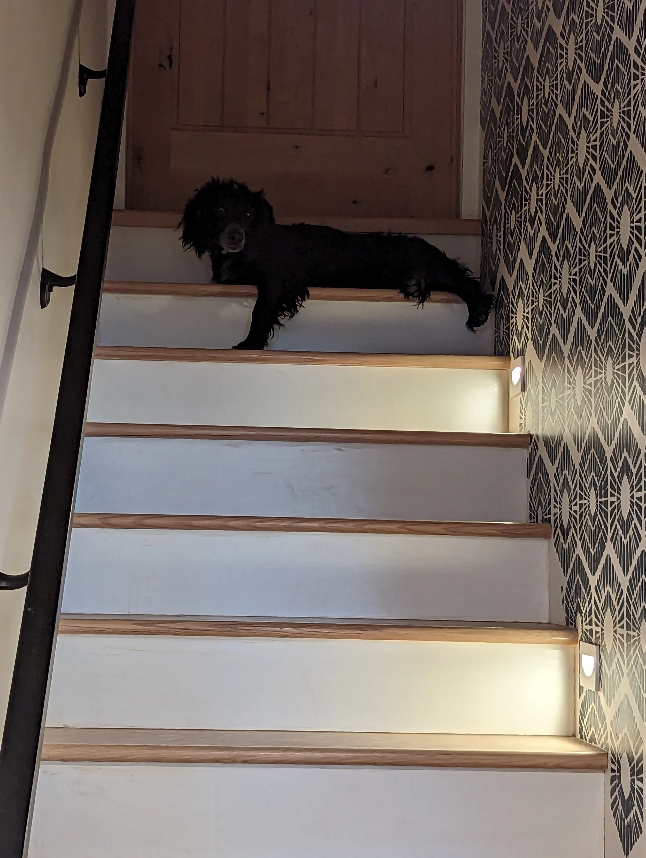 InstalledNewStairs.jpg