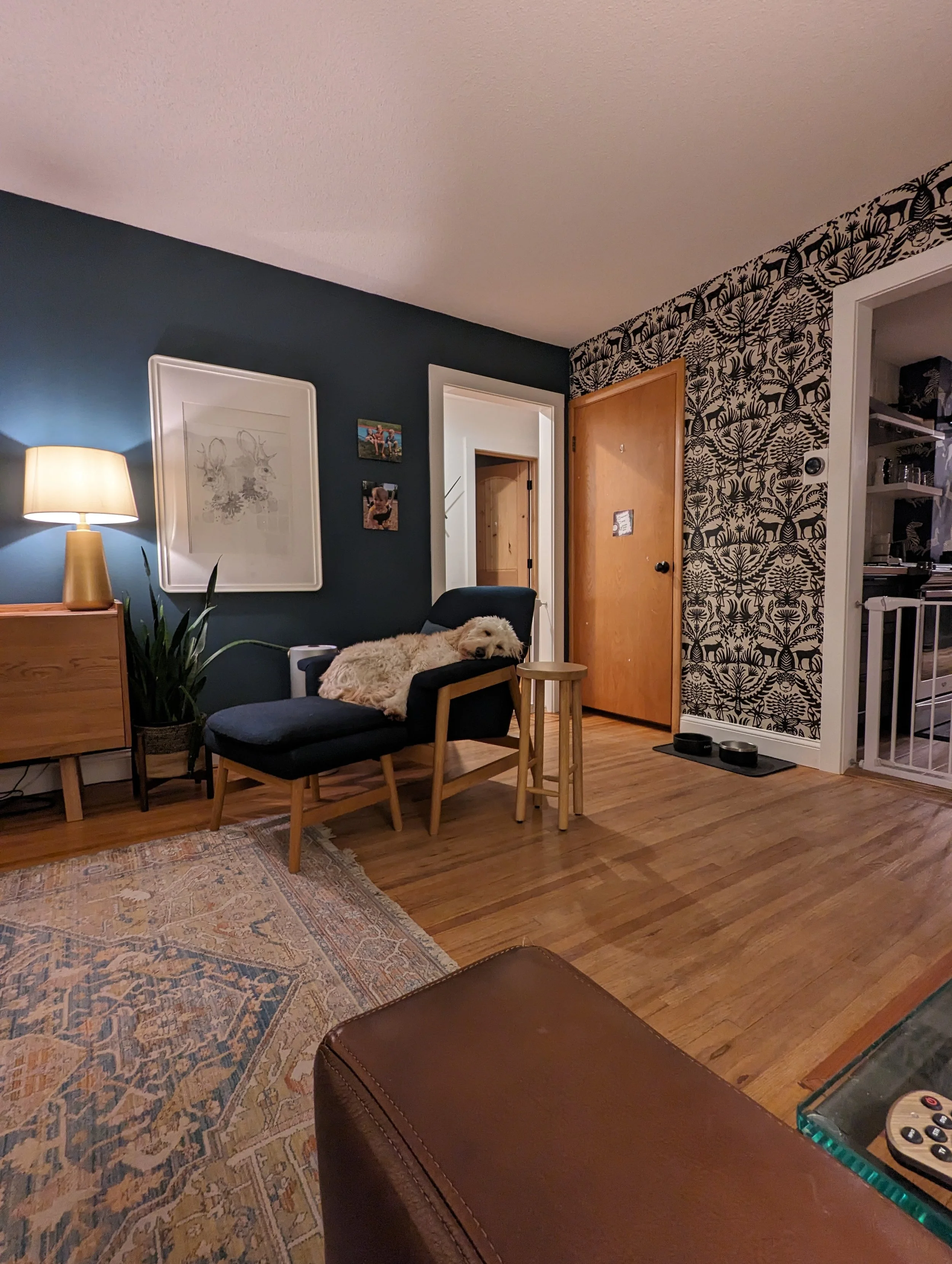 LivingRoomwithDog.jpg