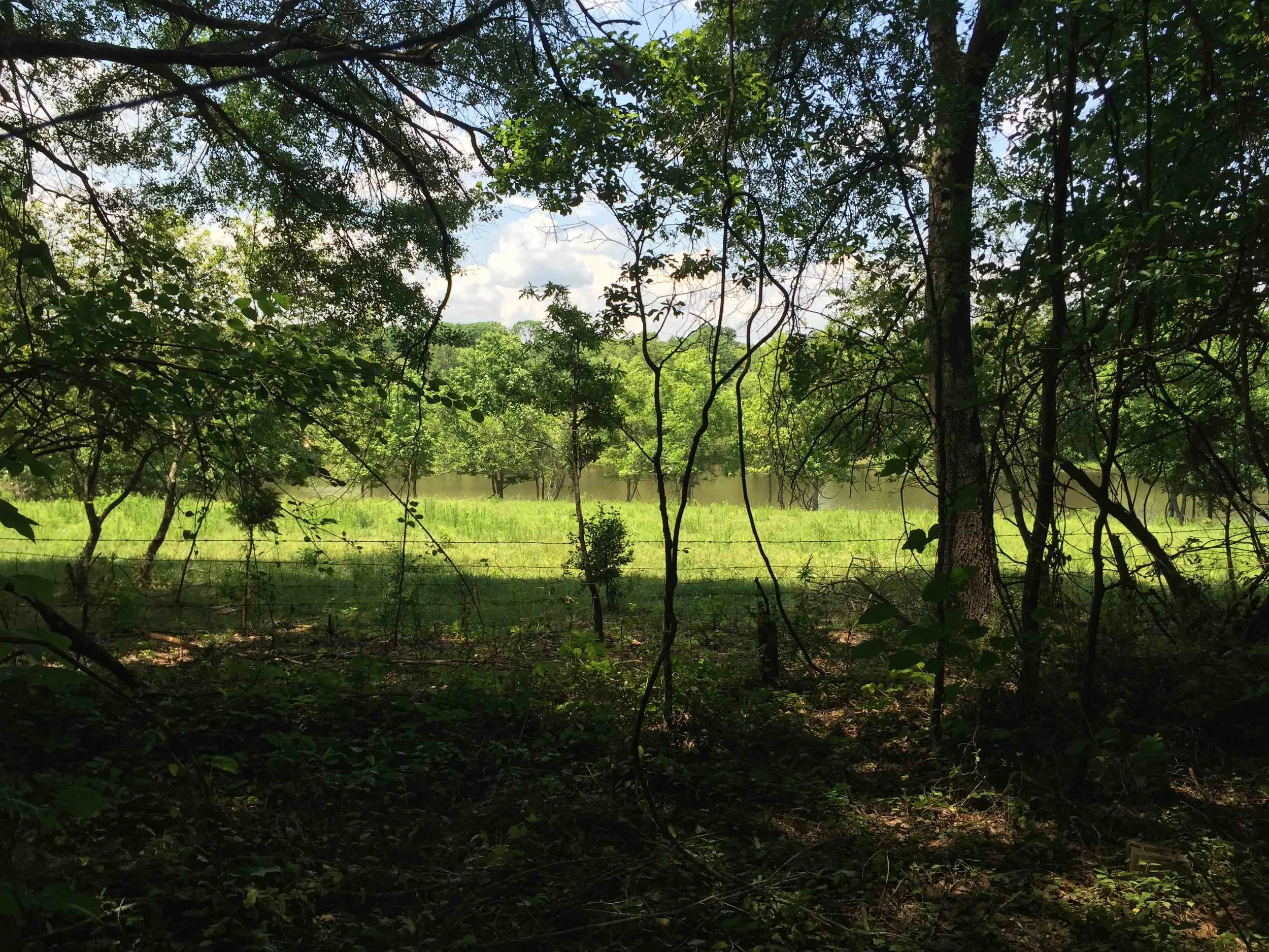 Gramling School Road Acreage — Gramling Real Estate