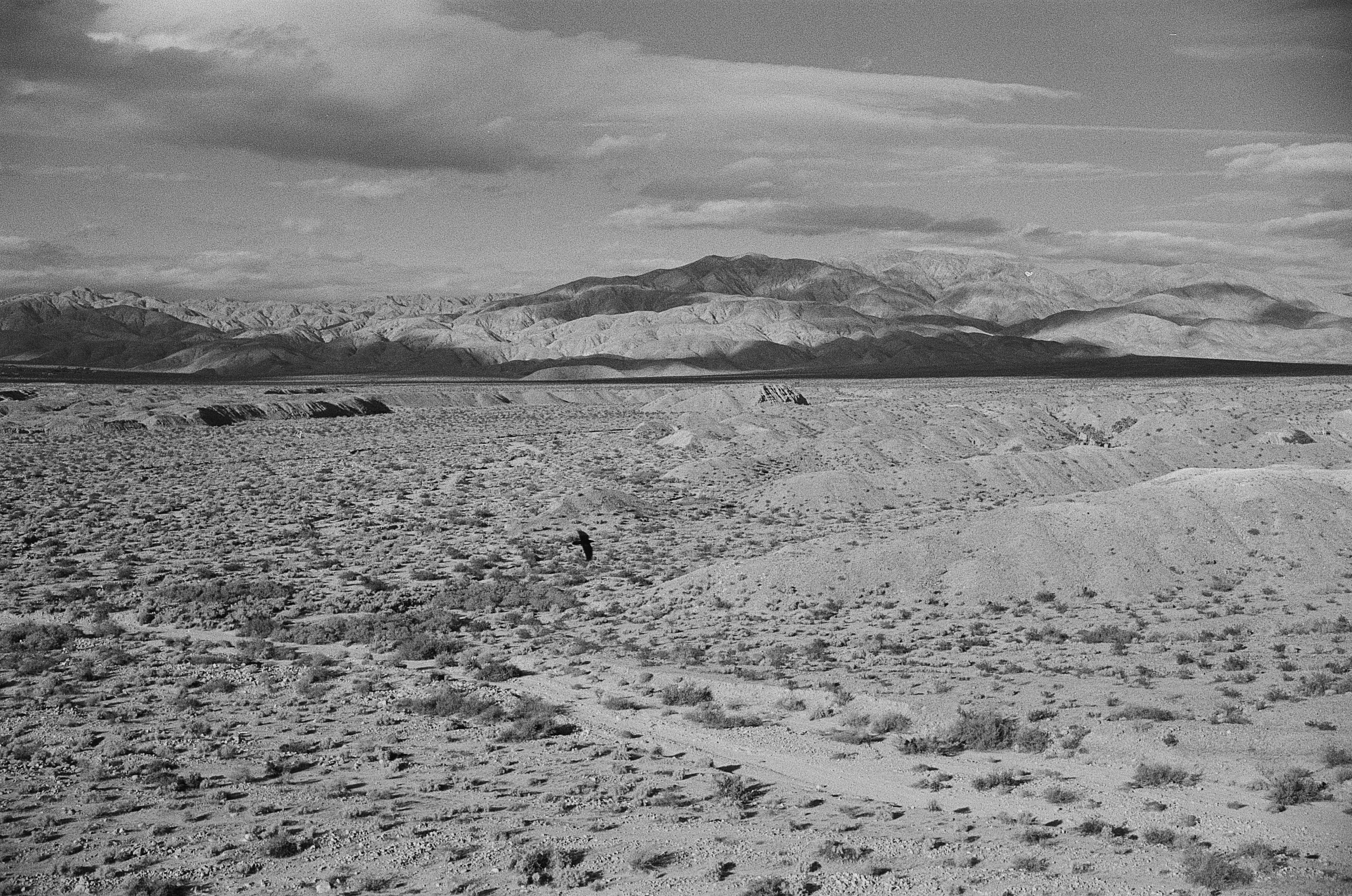 Coachella Valley (2024)