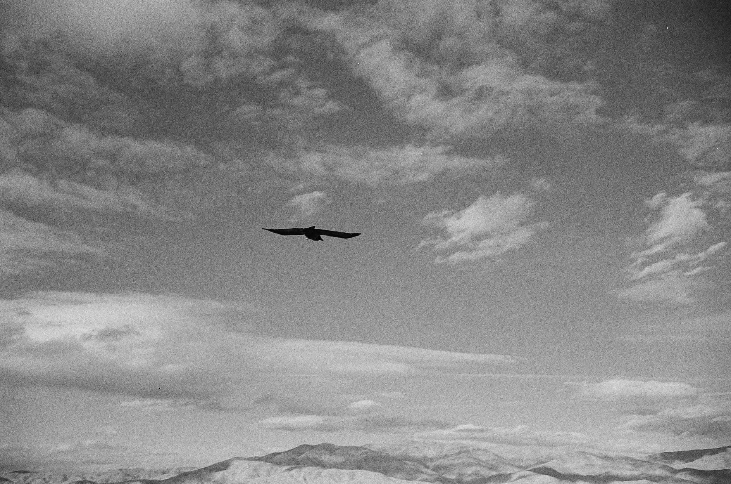 Coachella Valley (2024)