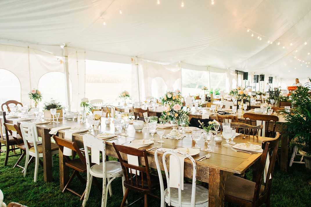  Anna Reynal Photography&nbsp; 